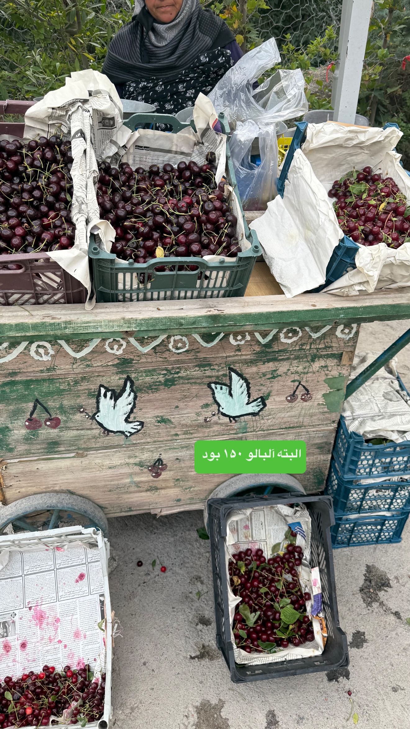  جدید ترین استوری اینستاگرام نفیسه عابدی