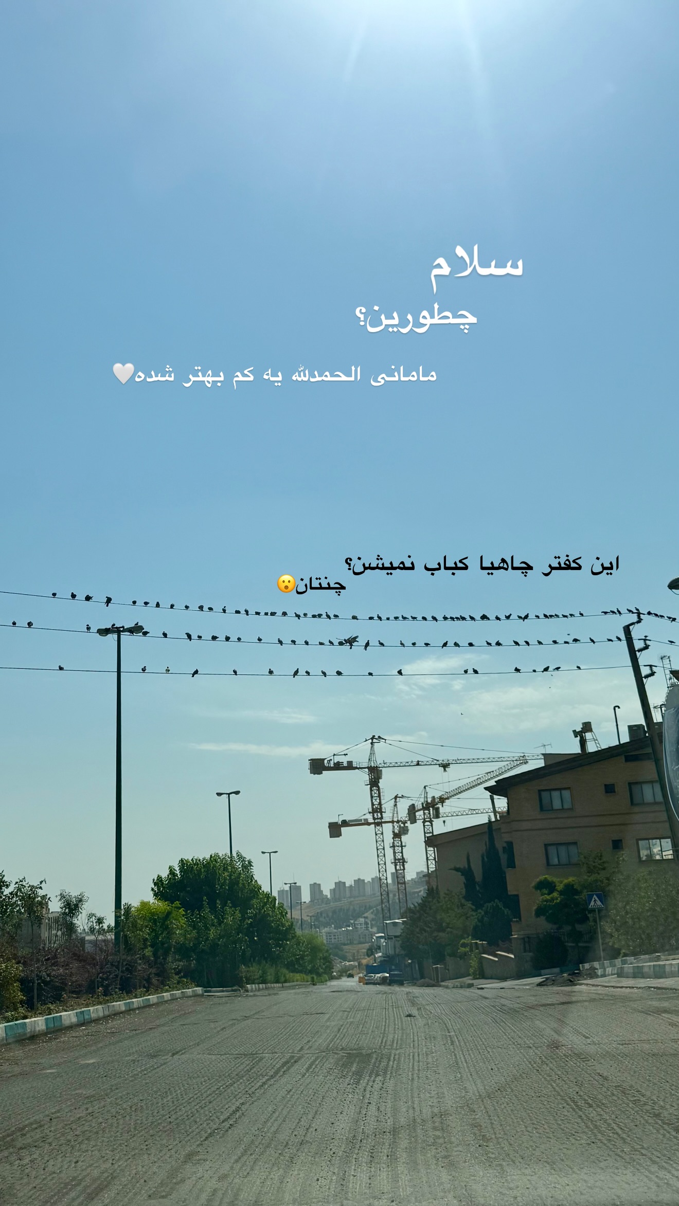  جدید ترین استوری اینستاگرام نفیسه عابدی