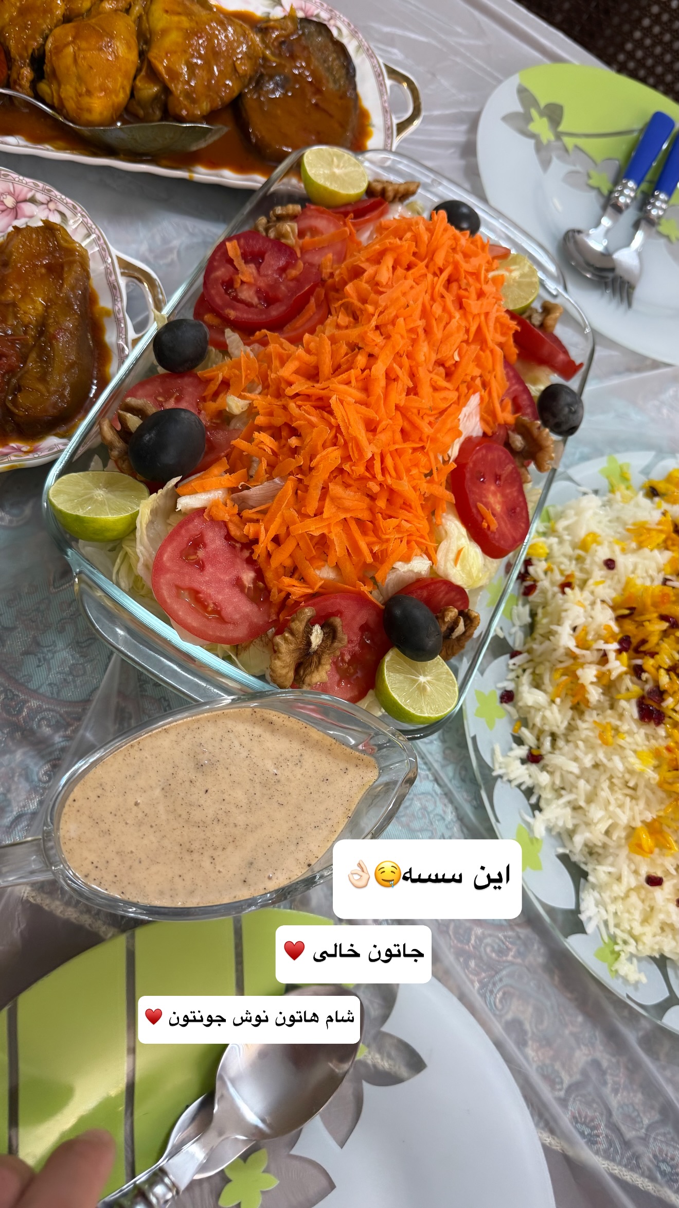  جدید ترین استوری اینستاگرام نفیسه عابدی