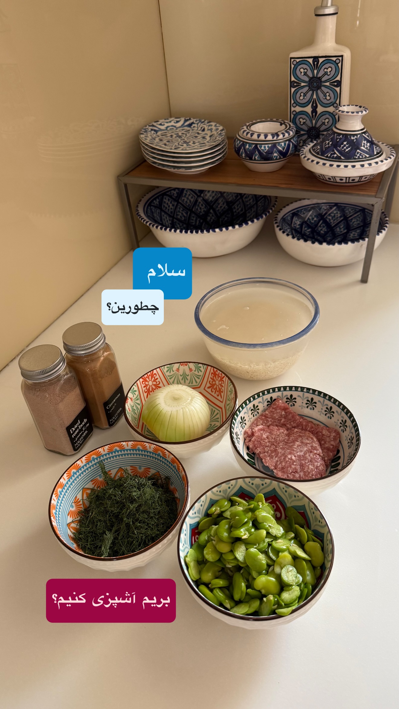  جدید ترین استوری اینستاگرام نفیسه عابدی