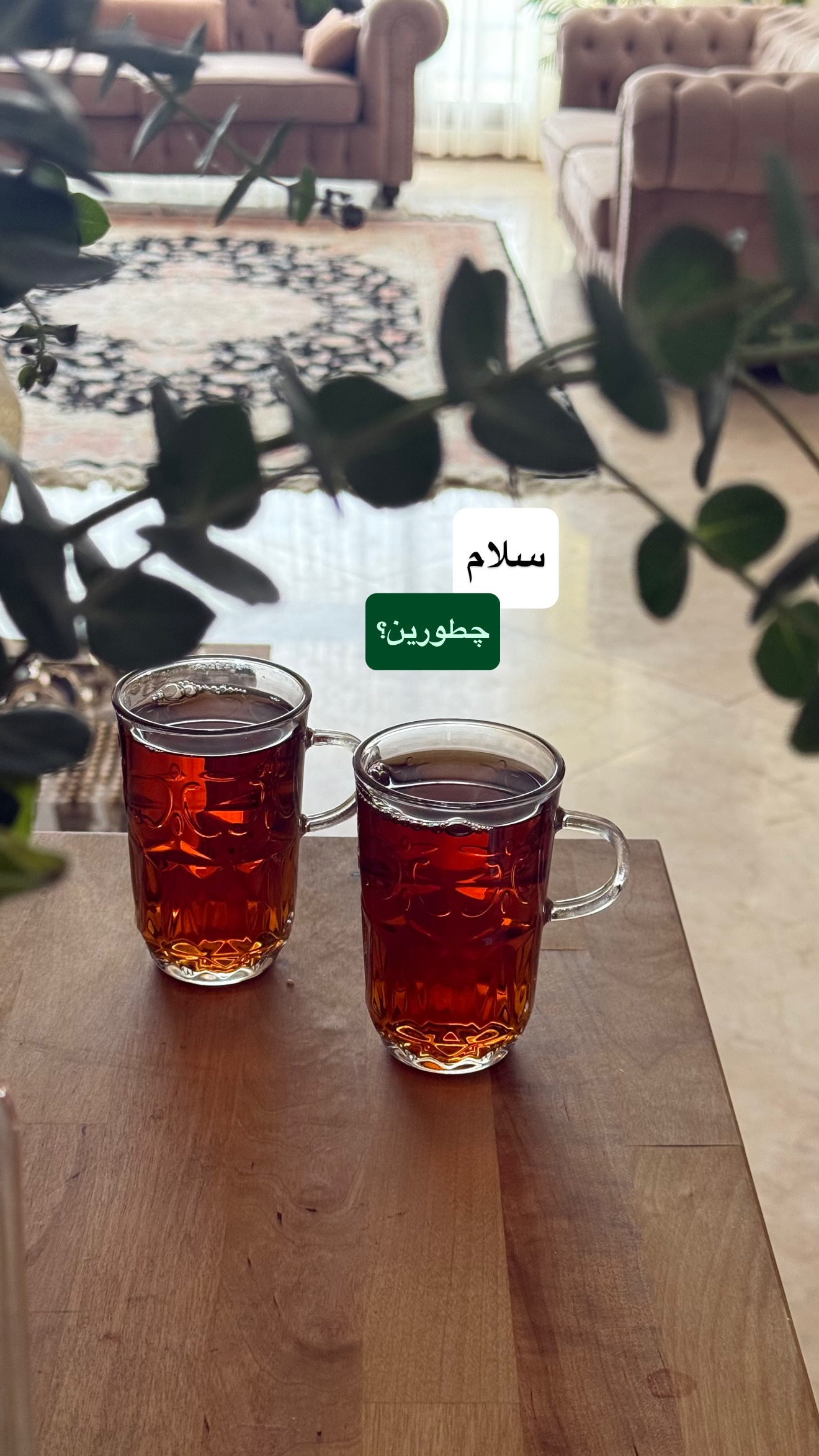  جدید ترین استوری اینستاگرام نفیسه عابدی