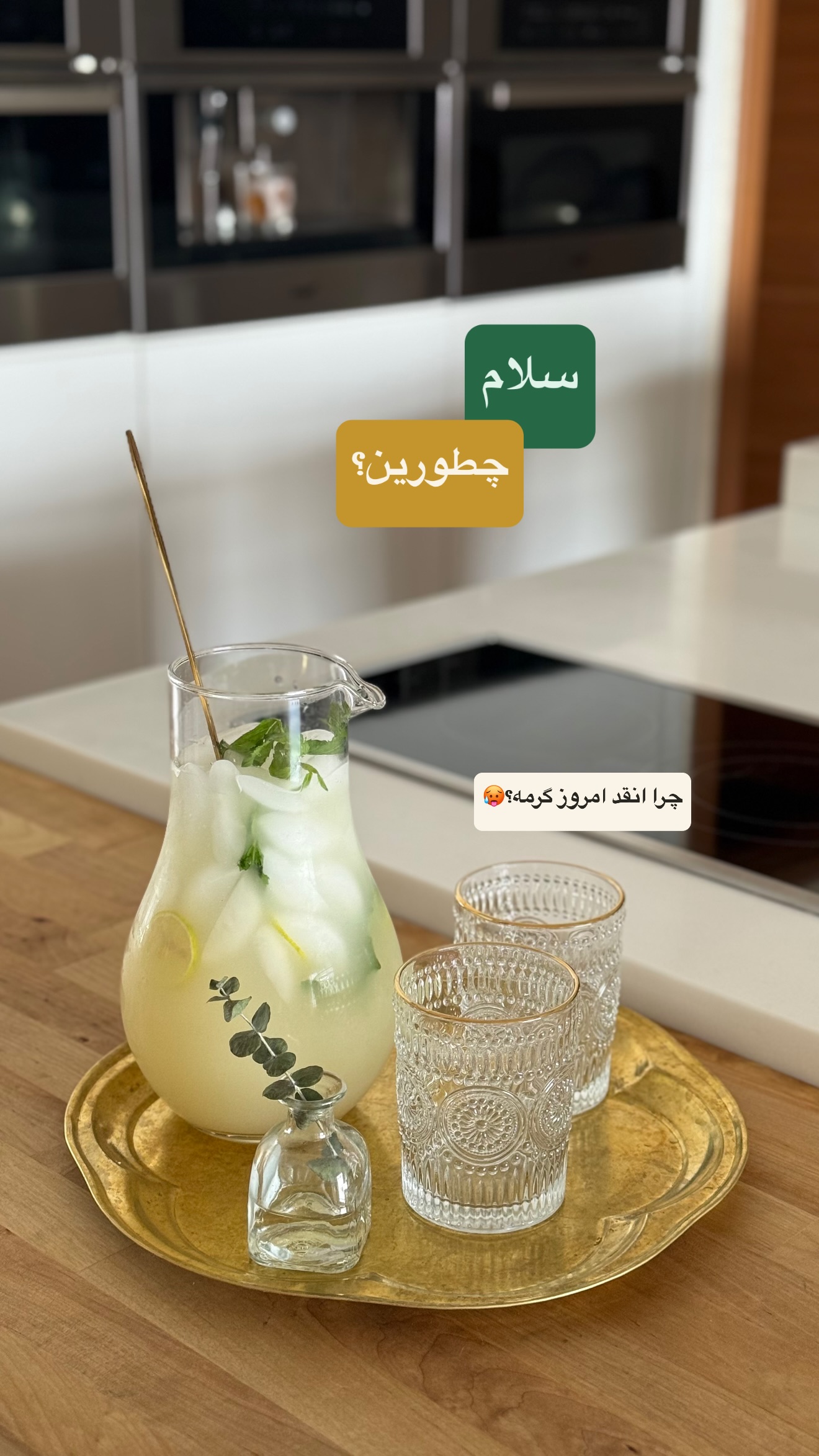  جدید ترین استوری اینستاگرام نفیسه عابدی