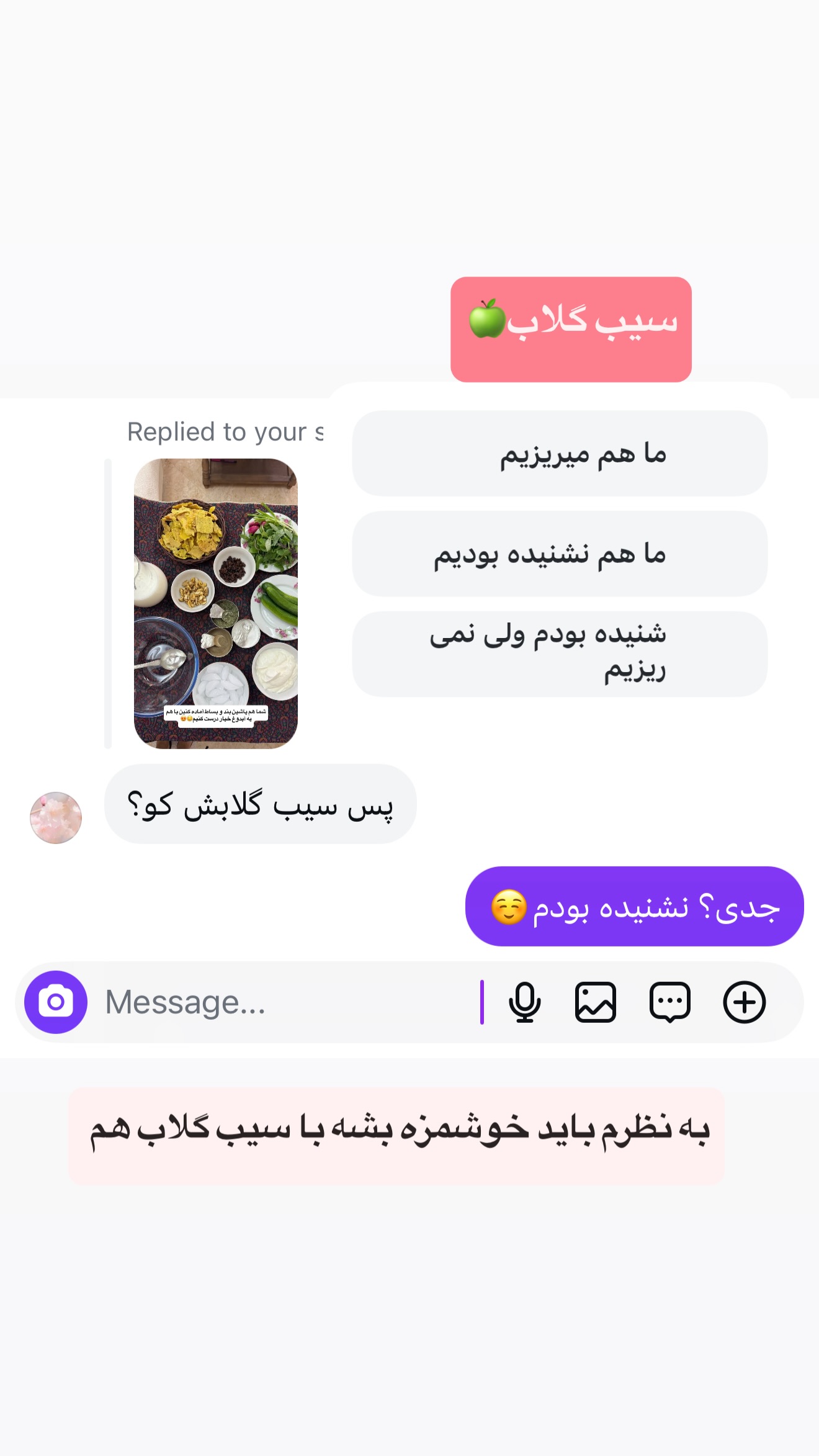  جدید ترین استوری اینستاگرام نفیسه عابدی