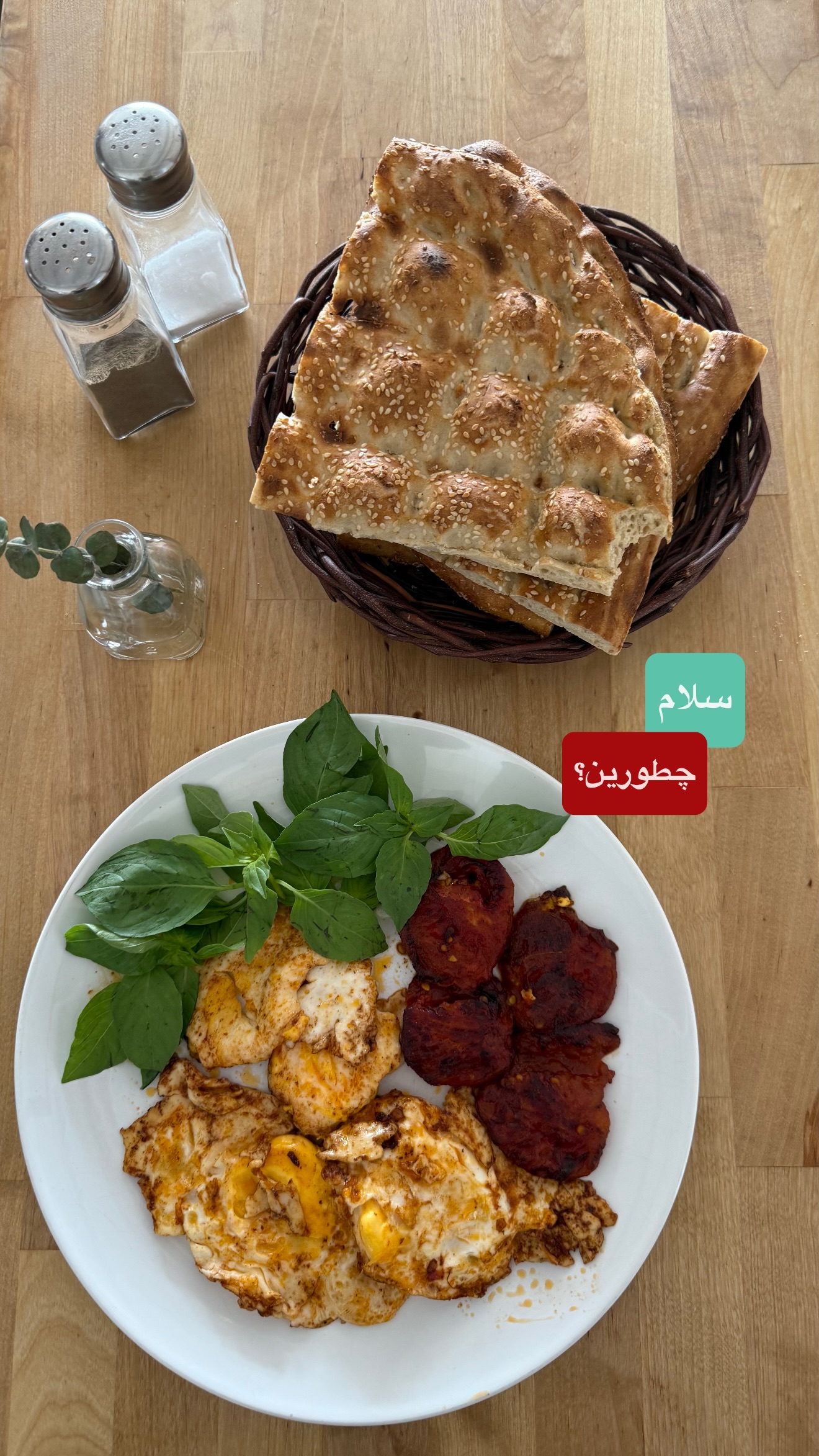  جدید ترین استوری اینستاگرام نفیسه عابدی
