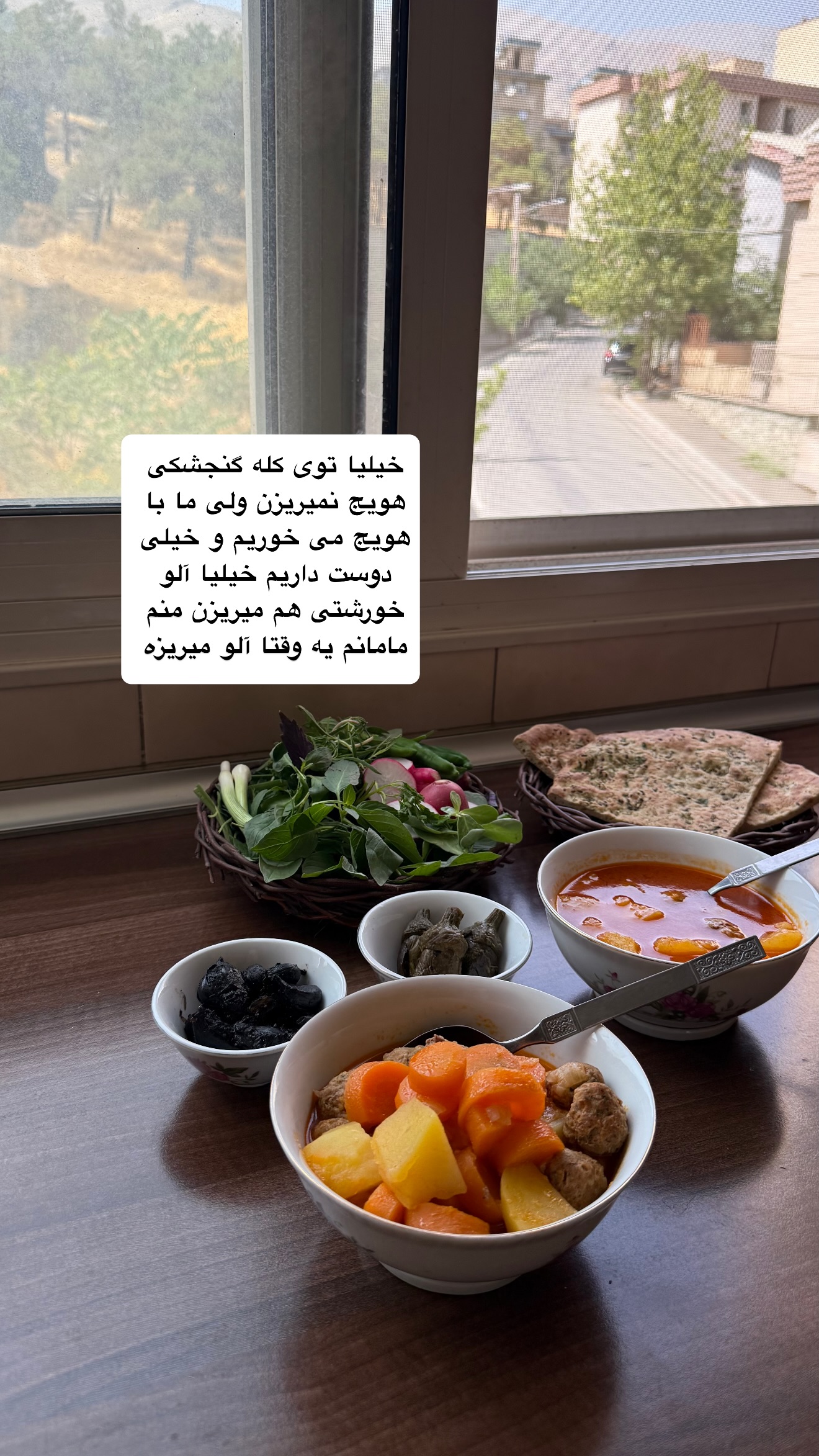  جدید ترین استوری اینستاگرام نفیسه عابدی