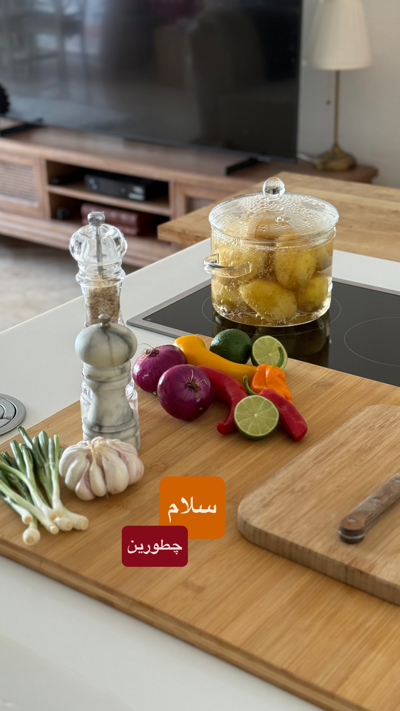  جدید ترین استوری اینستاگرام نفیسه عابدی
