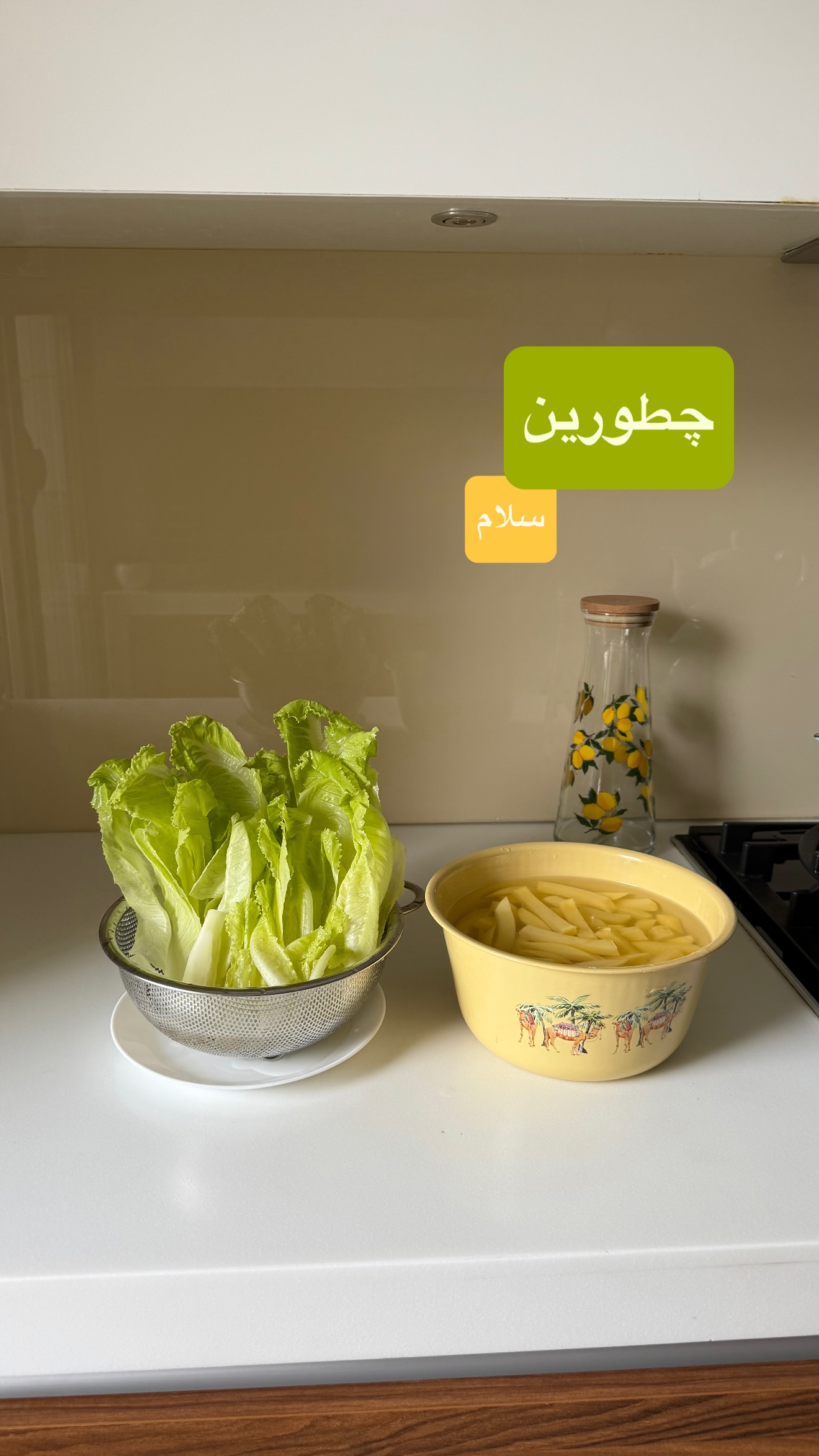  جدید ترین استوری اینستاگرام نفیسه عابدی