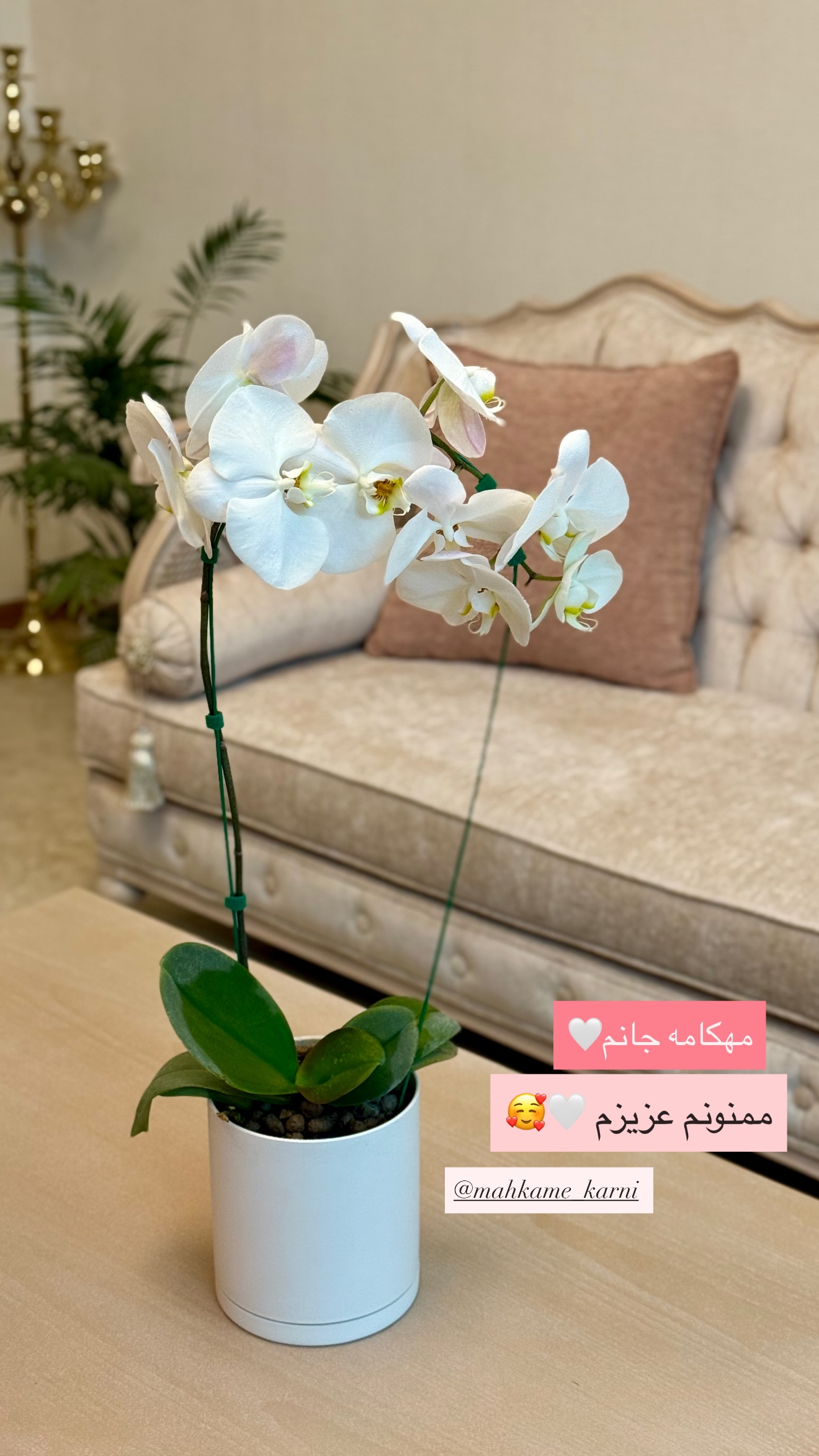  جدید ترین استوری اینستاگرام نفیسه عابدی
