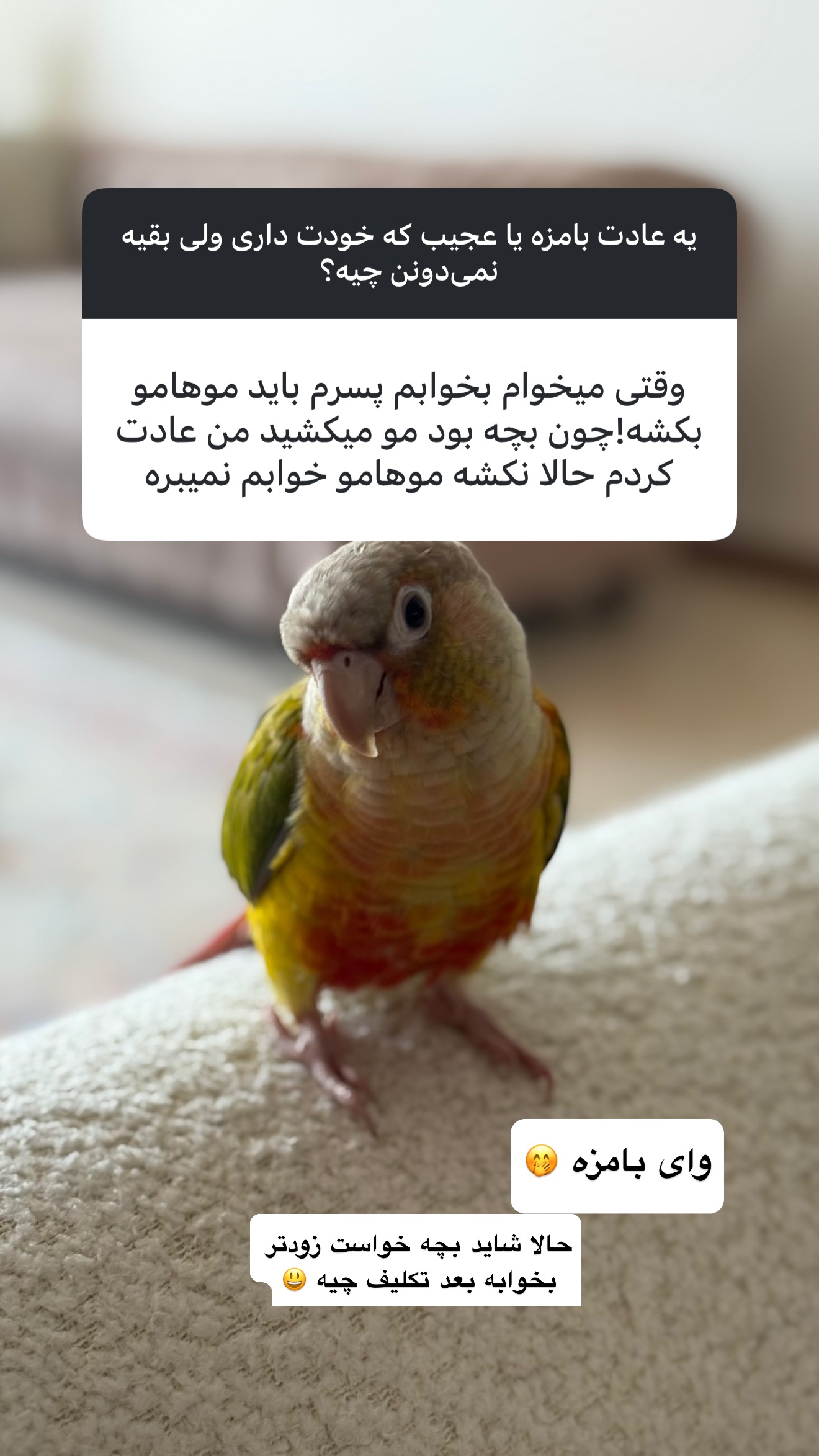  جدید ترین استوری اینستاگرام نفیسه عابدی