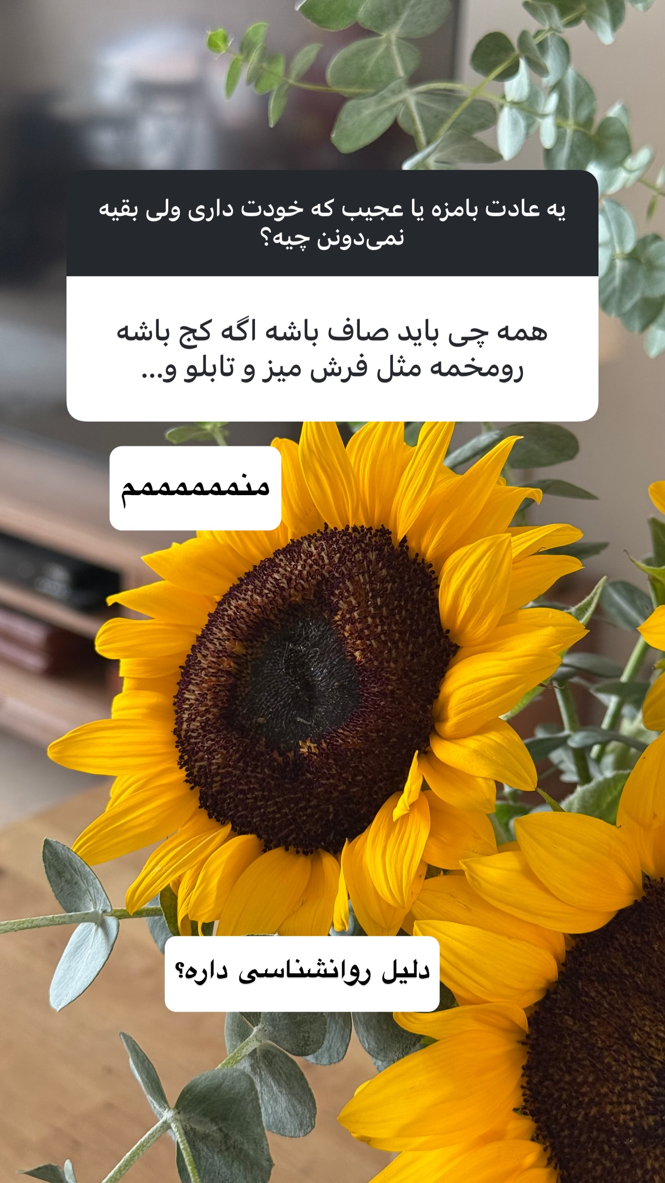  جدید ترین استوری اینستاگرام نفیسه عابدی