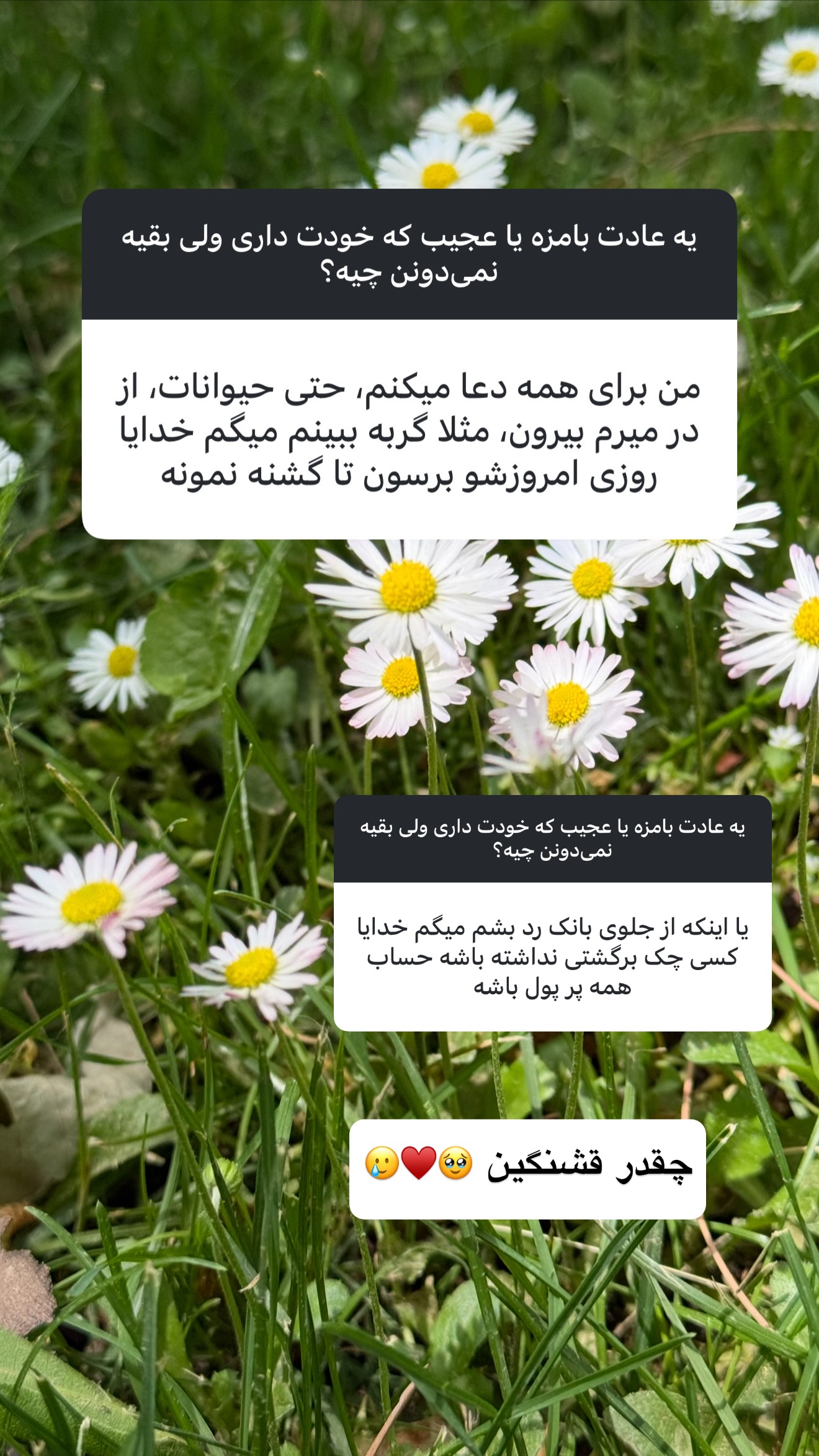  جدید ترین استوری اینستاگرام نفیسه عابدی