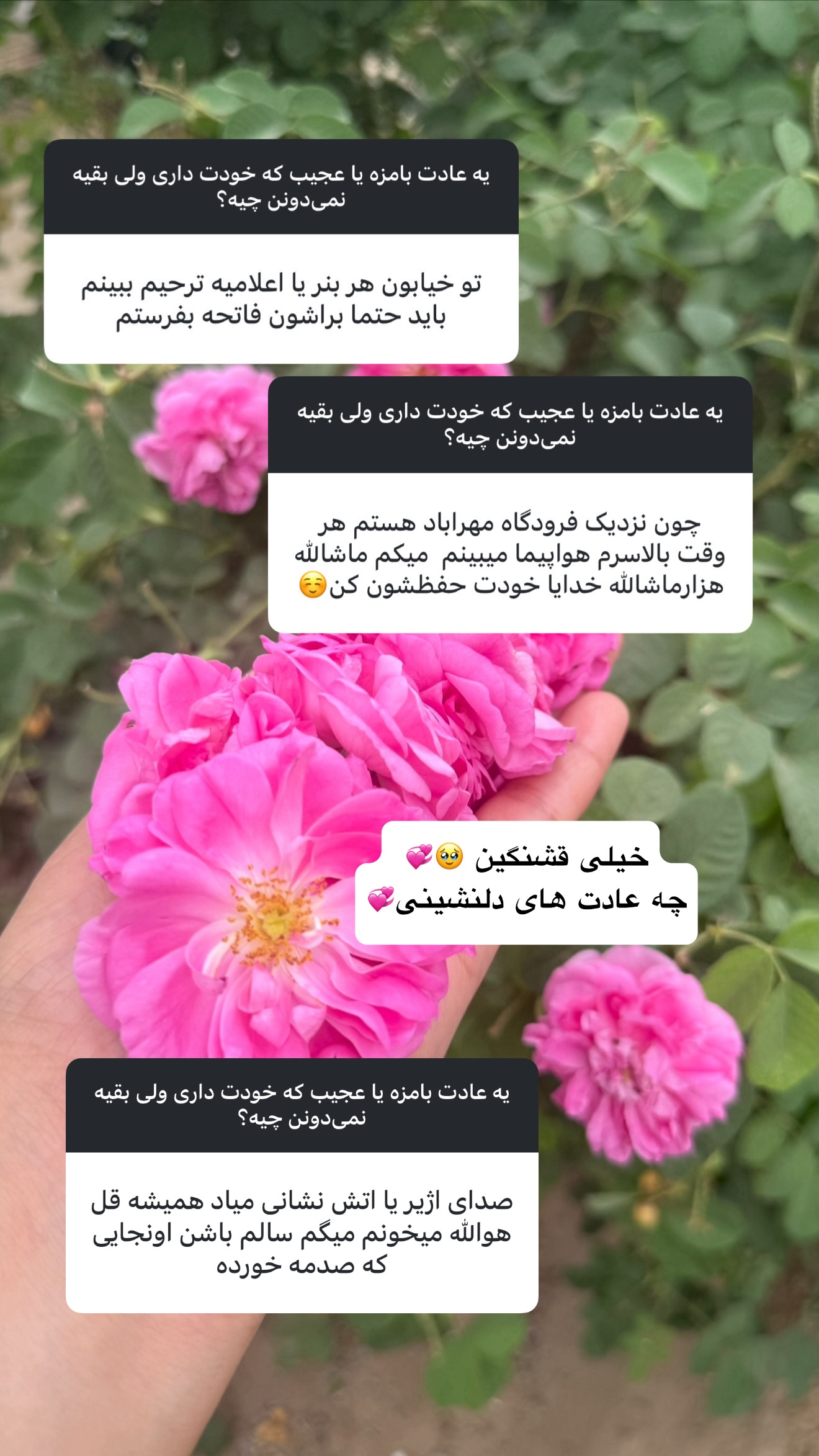  جدید ترین استوری اینستاگرام نفیسه عابدی