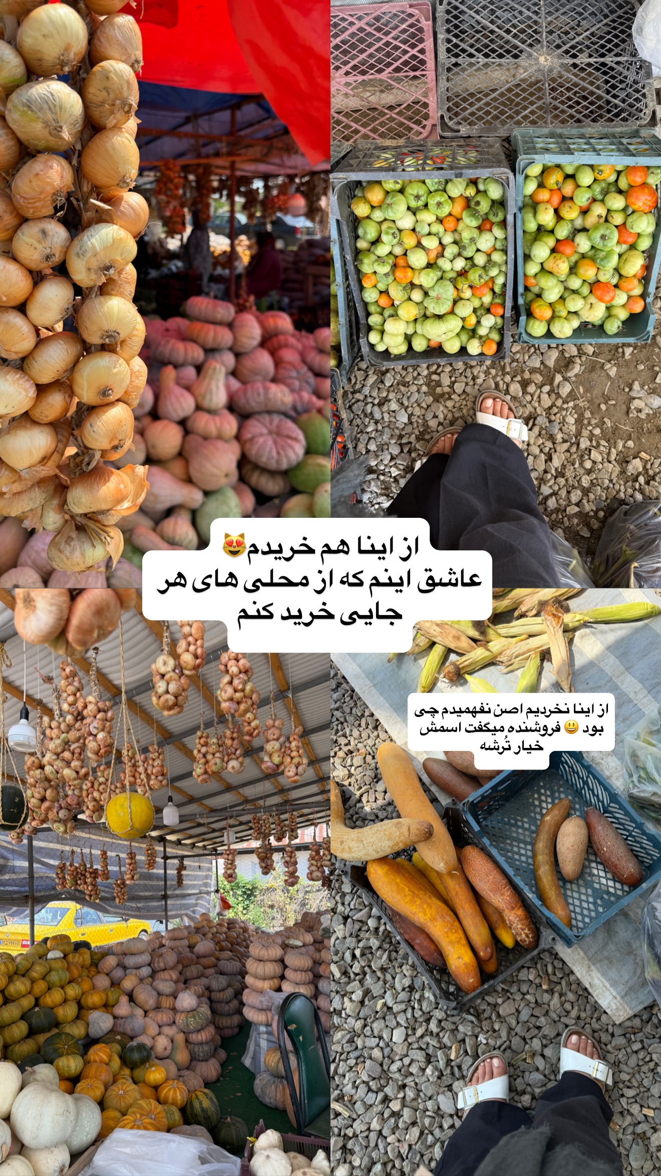  جدید ترین استوری اینستاگرام نفیسه عابدی