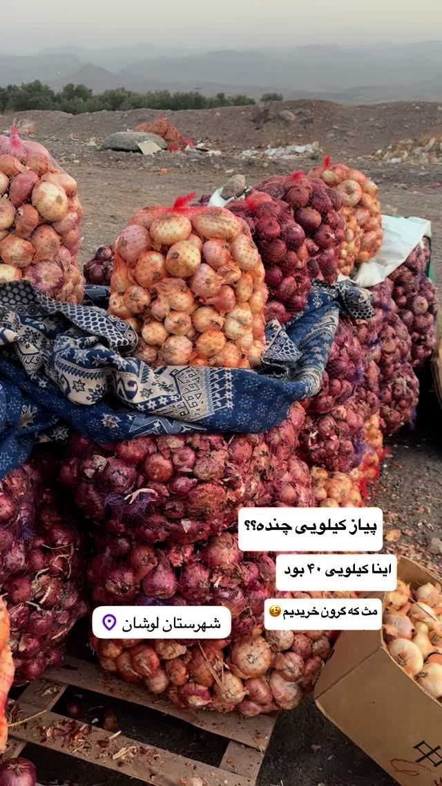  جدید ترین استوری اینستاگرام نفیسه عابدی