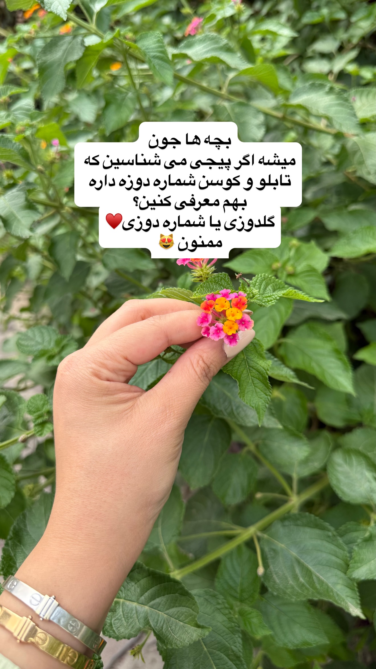  جدید ترین استوری اینستاگرام نفیسه عابدی