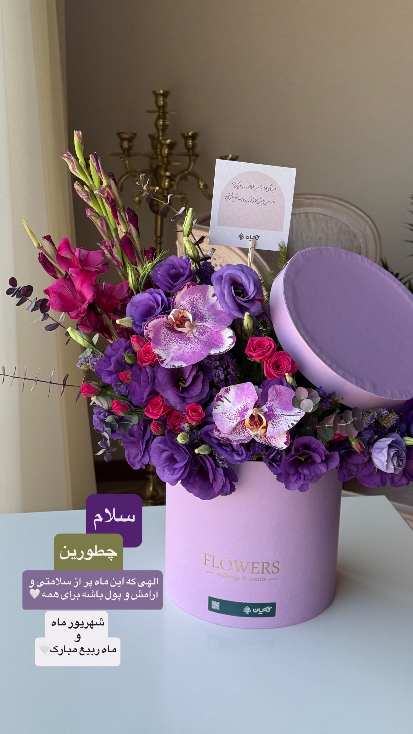  جدید ترین استوری اینستاگرام نفیسه عابدی