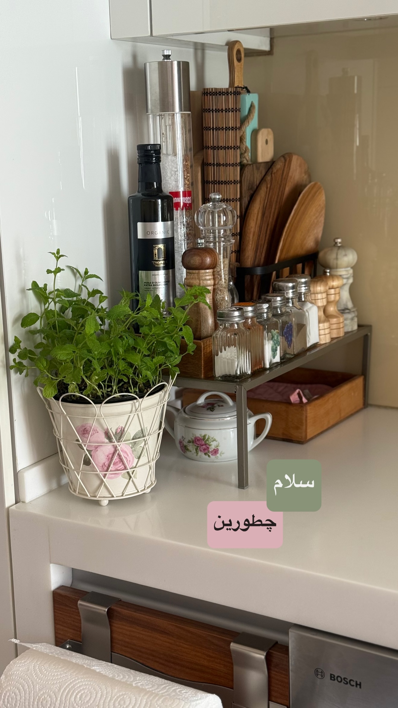  جدید ترین استوری اینستاگرام نفیسه عابدی