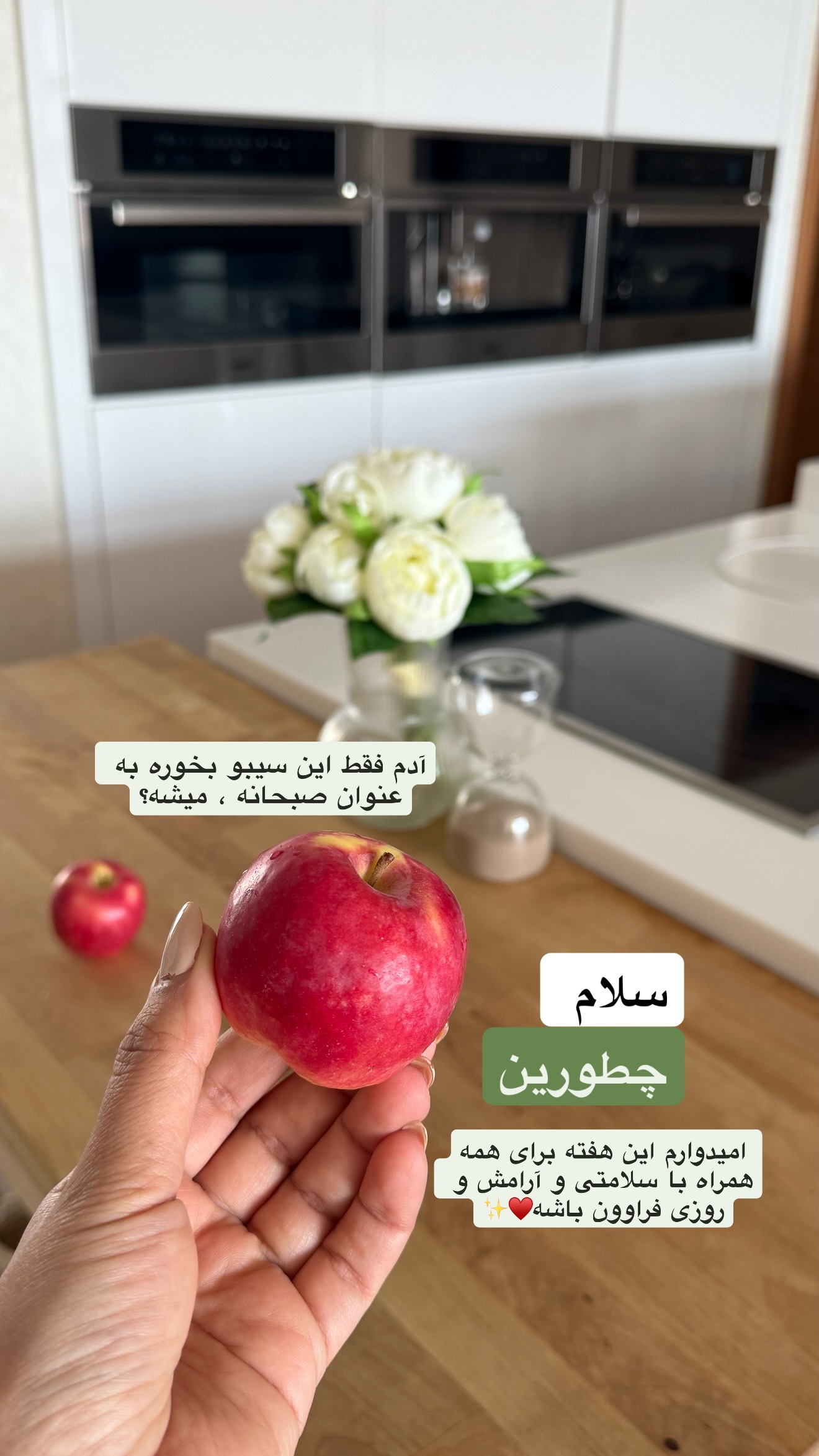  جدید ترین استوری اینستاگرام نفیسه عابدی