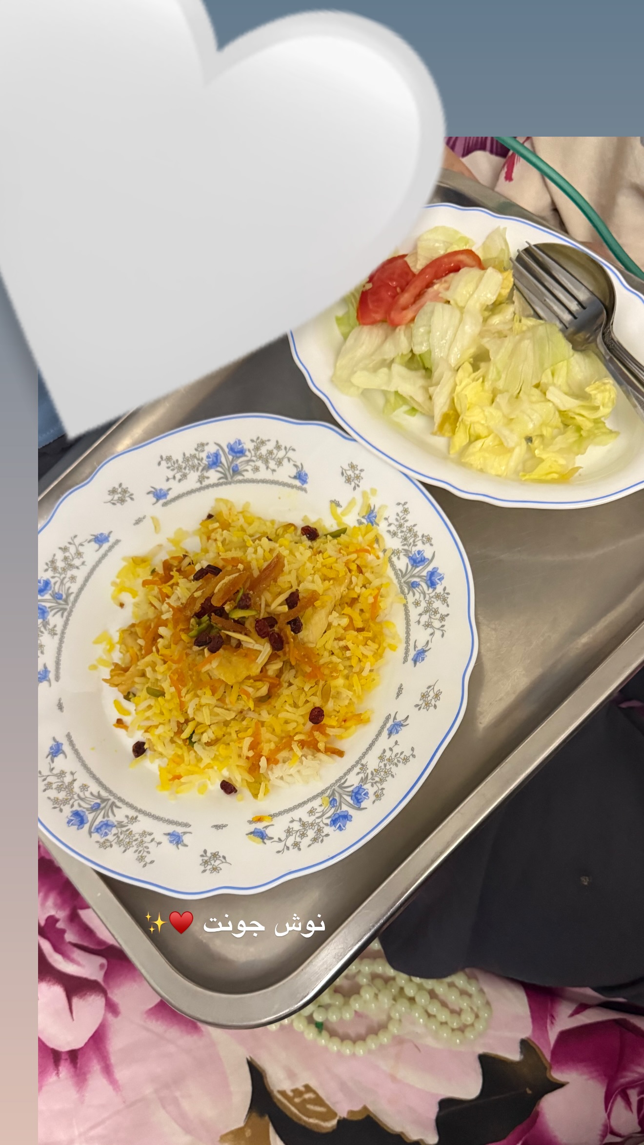  جدید ترین استوری اینستاگرام نفیسه عابدی