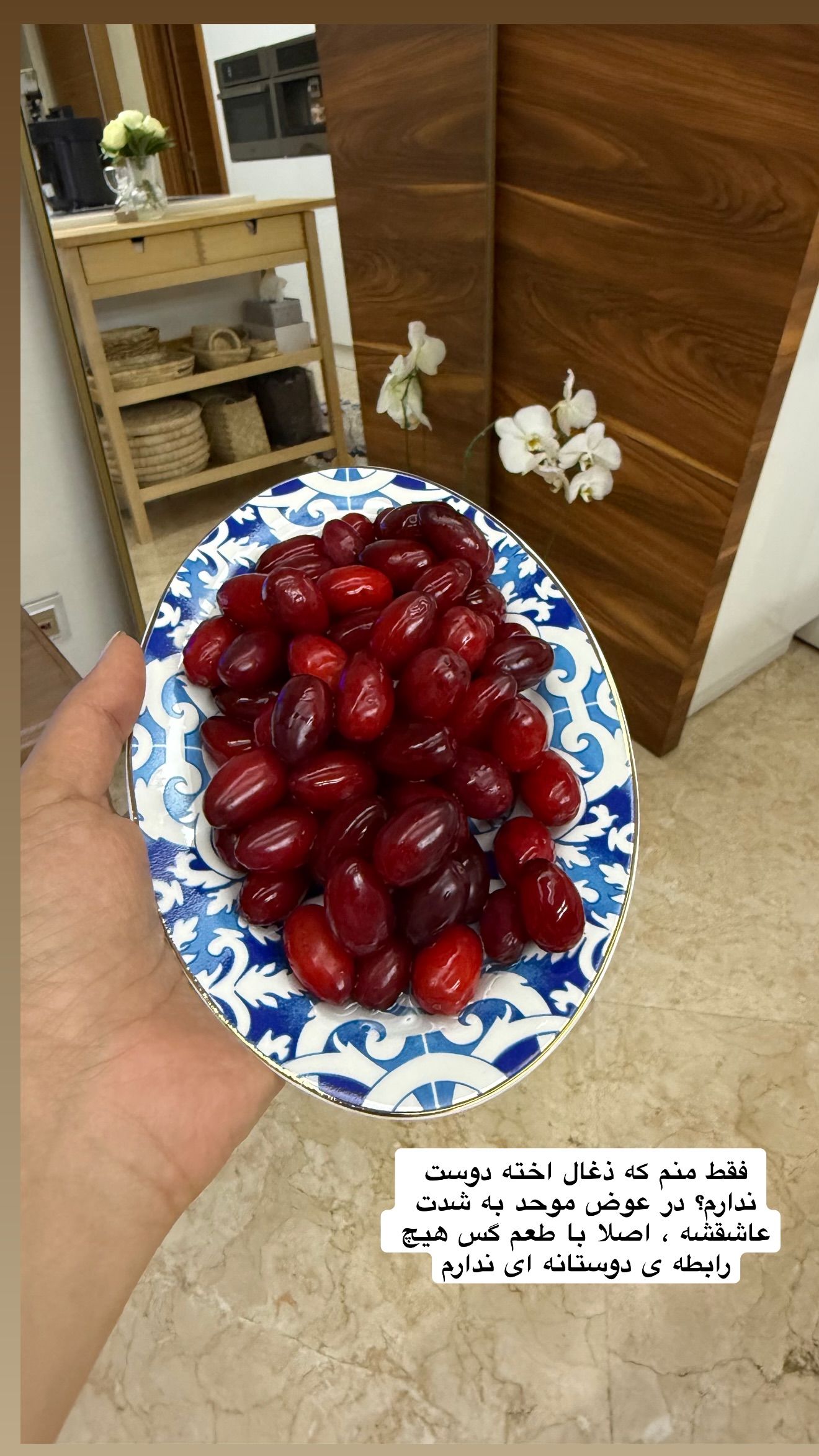  جدید ترین استوری اینستاگرام نفیسه عابدی