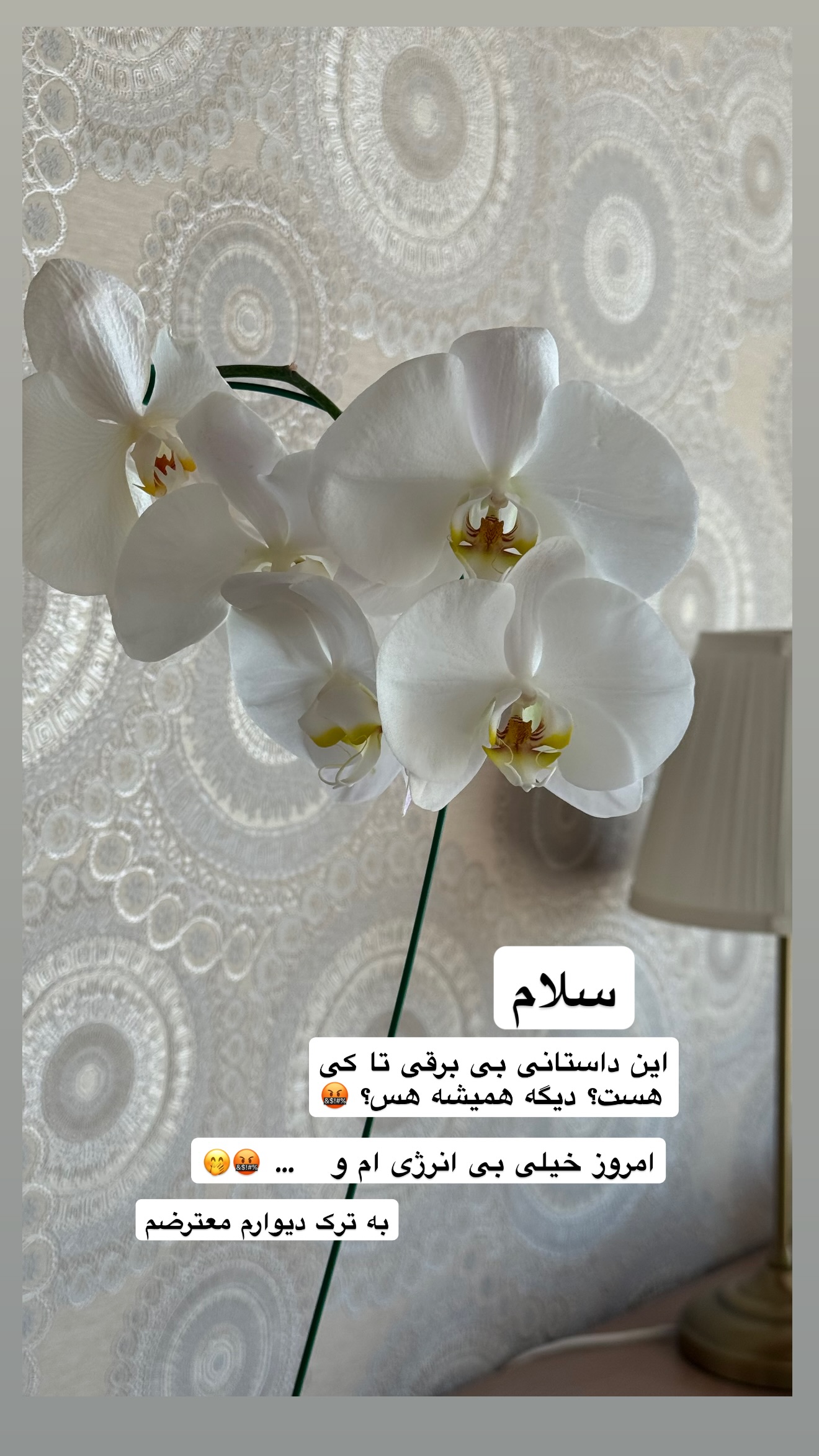  جدید ترین استوری اینستاگرام نفیسه عابدی