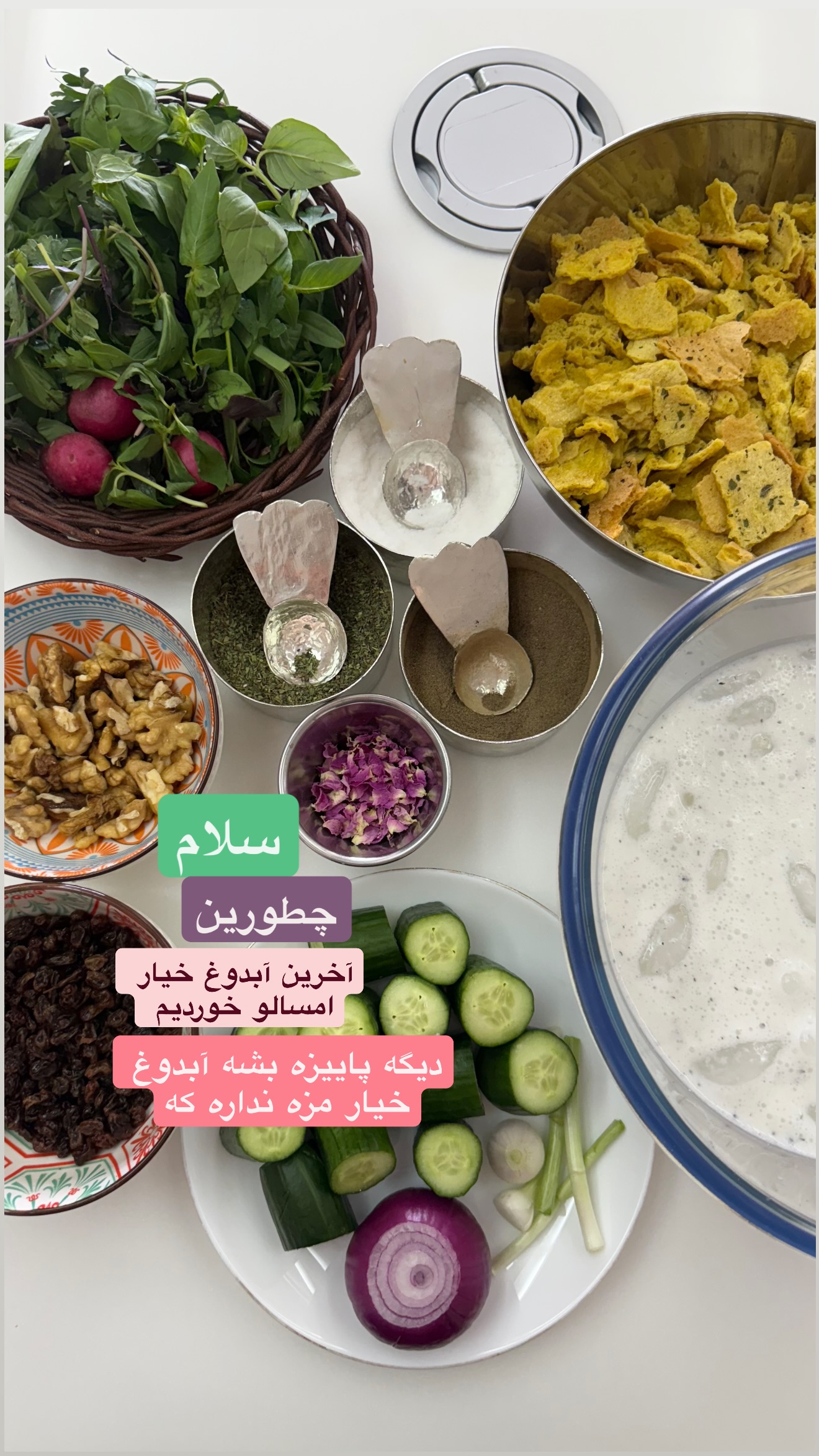  جدید ترین استوری اینستاگرام نفیسه عابدی