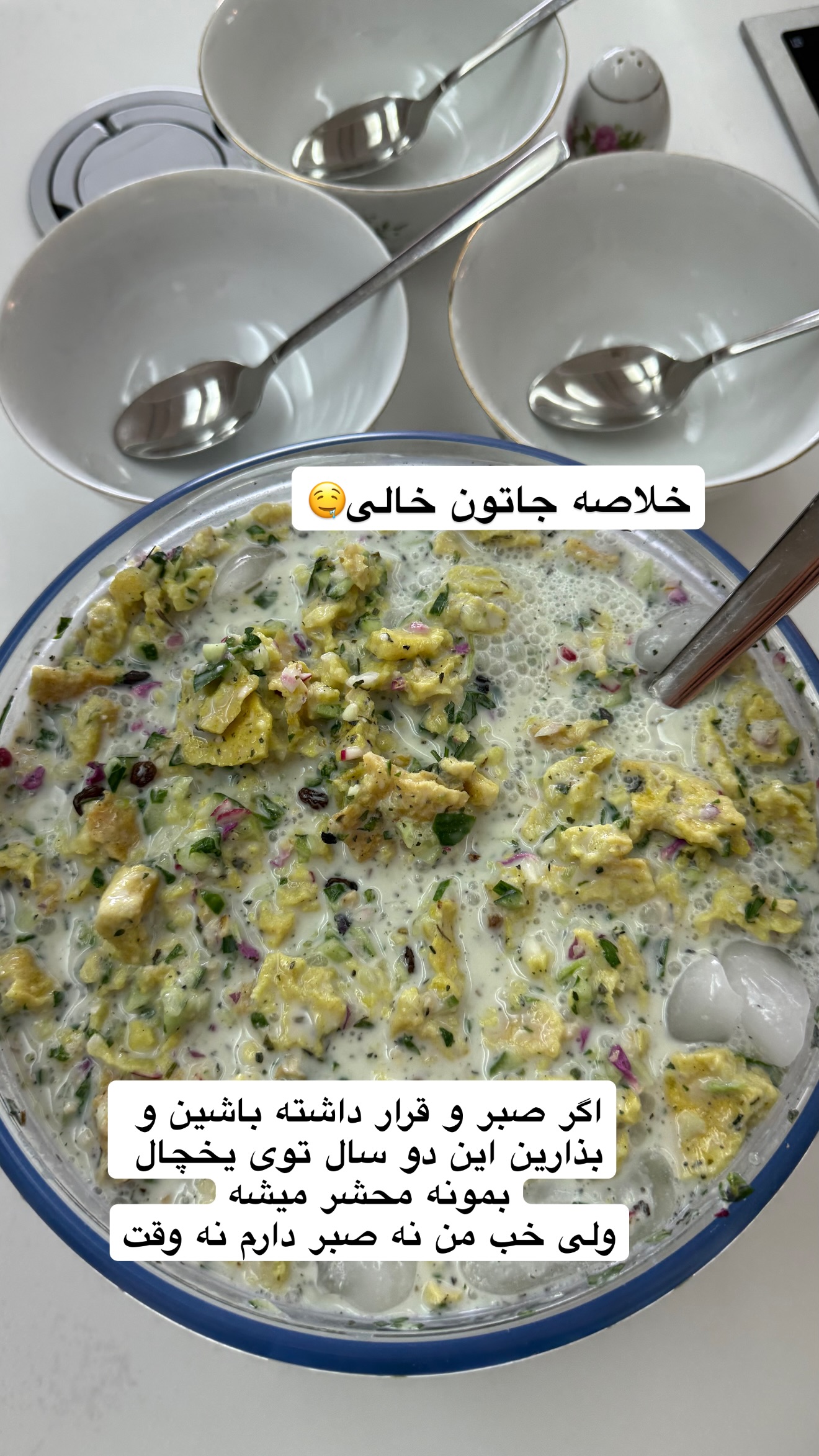  جدید ترین استوری اینستاگرام نفیسه عابدی