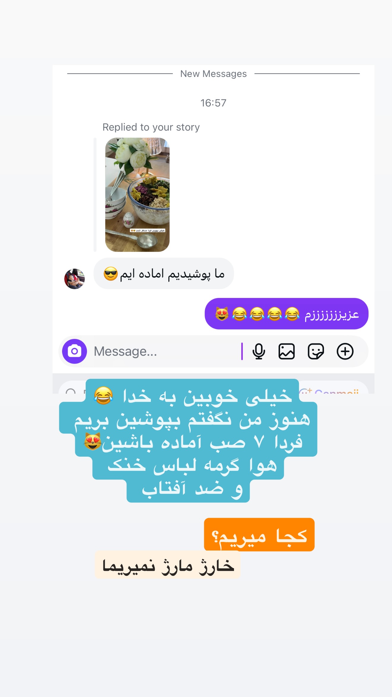  جدید ترین استوری اینستاگرام نفیسه عابدی