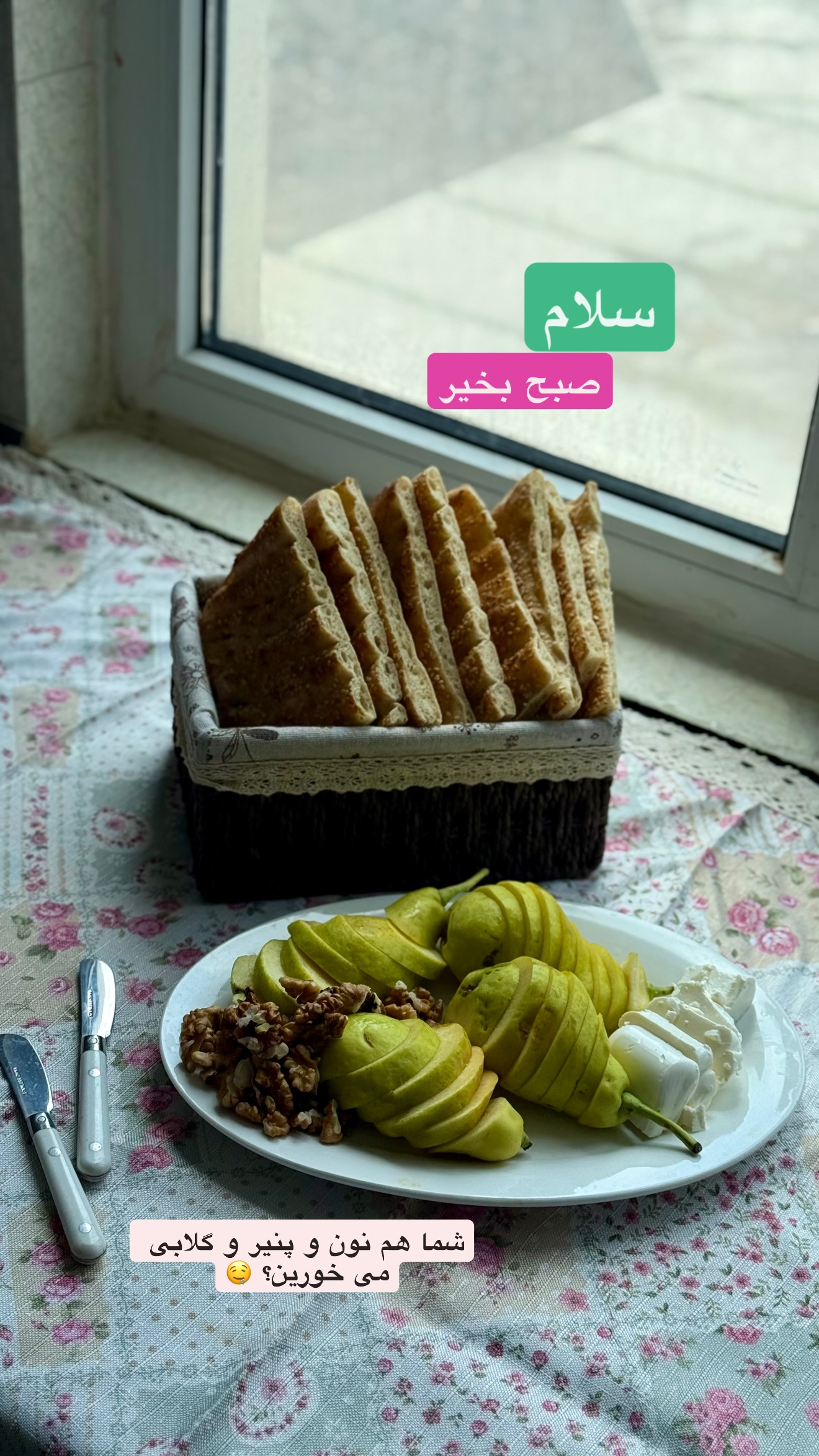  جدید ترین استوری اینستاگرام نفیسه عابدی