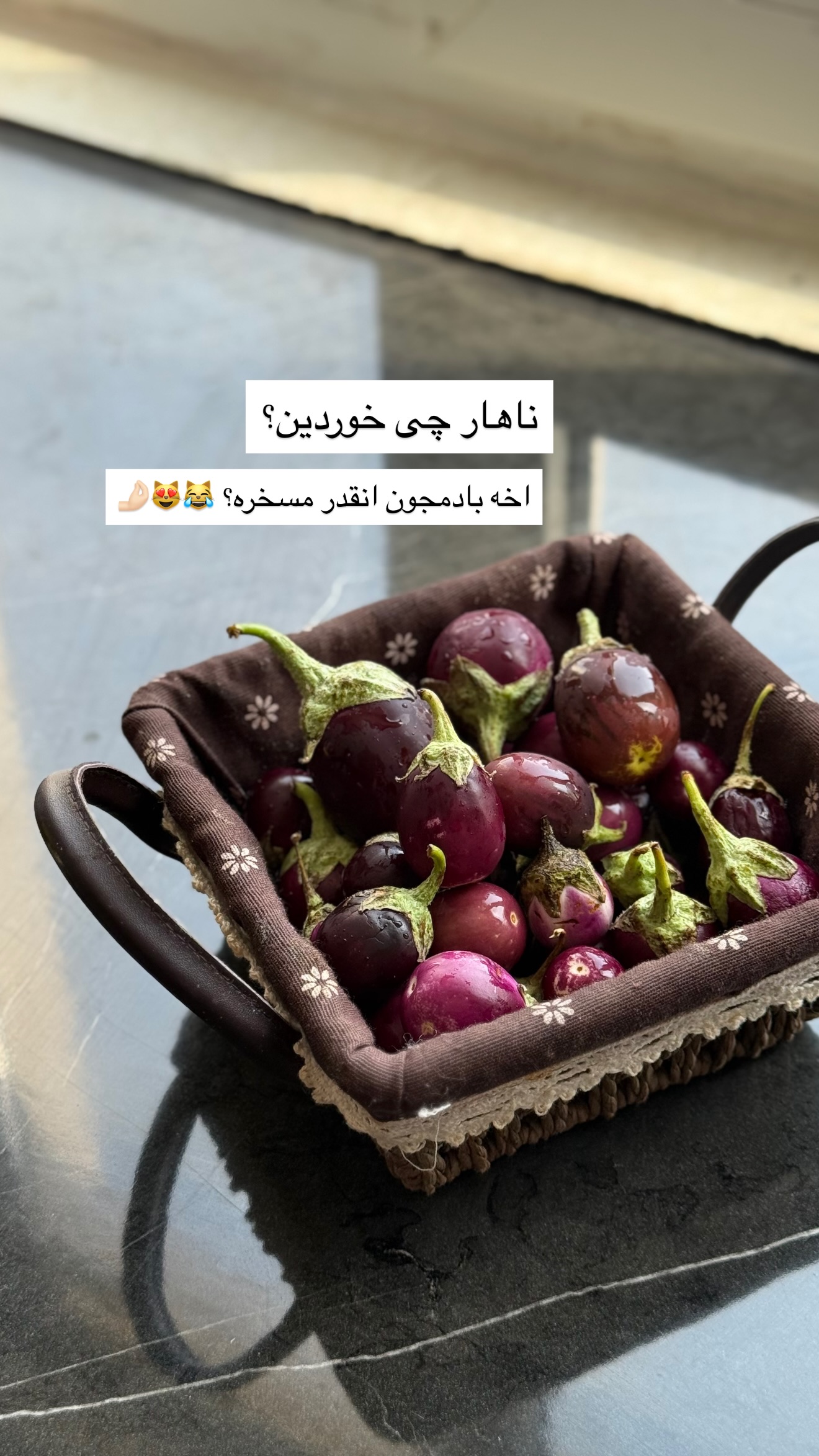 جدید ترین استوری اینستاگرام نفیسه عابدی