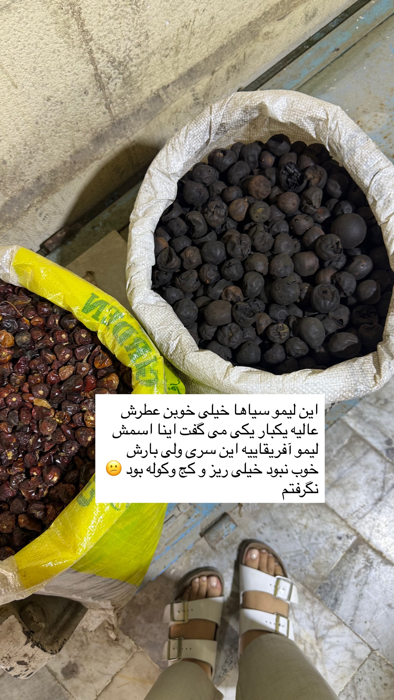  جدید ترین استوری اینستاگرام نفیسه عابدی