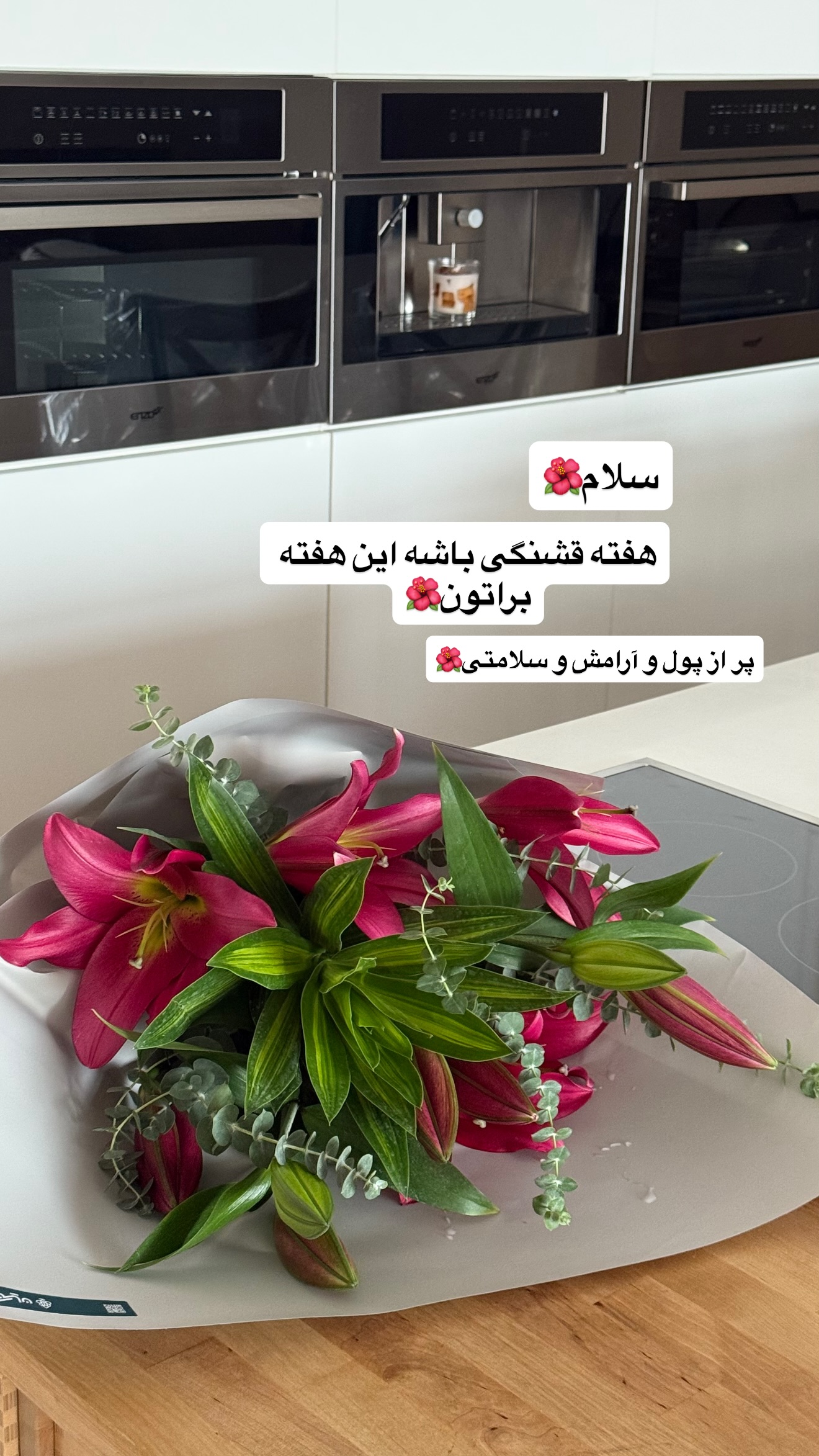  جدید ترین استوری اینستاگرام نفیسه عابدی