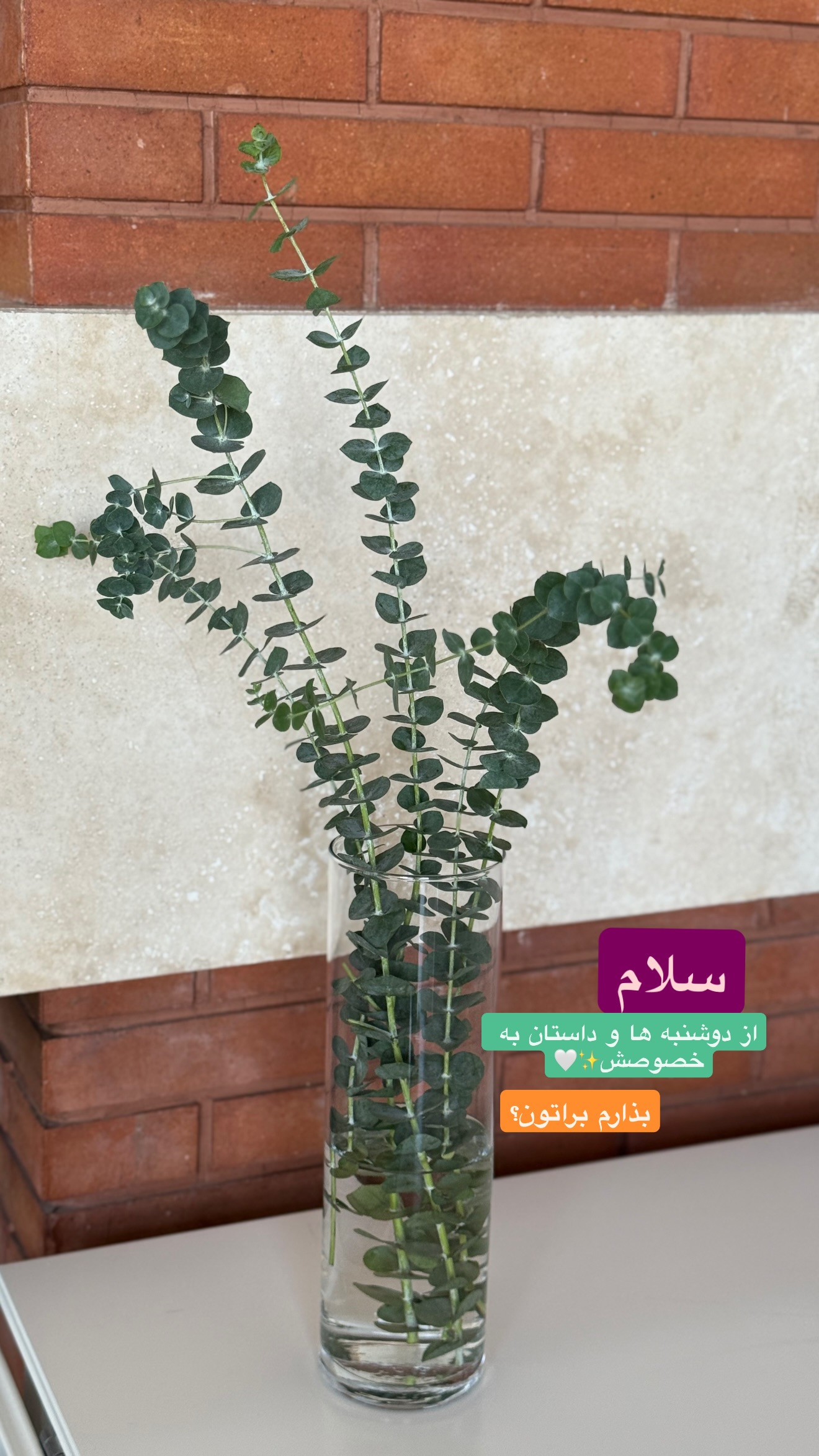  جدید ترین استوری اینستاگرام نفیسه عابدی