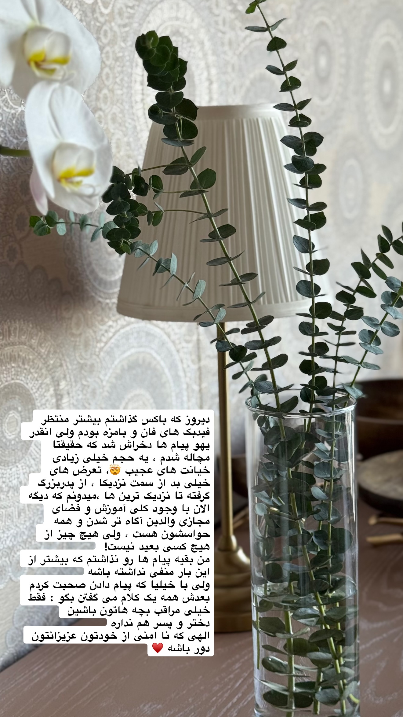  جدید ترین استوری اینستاگرام نفیسه عابدی