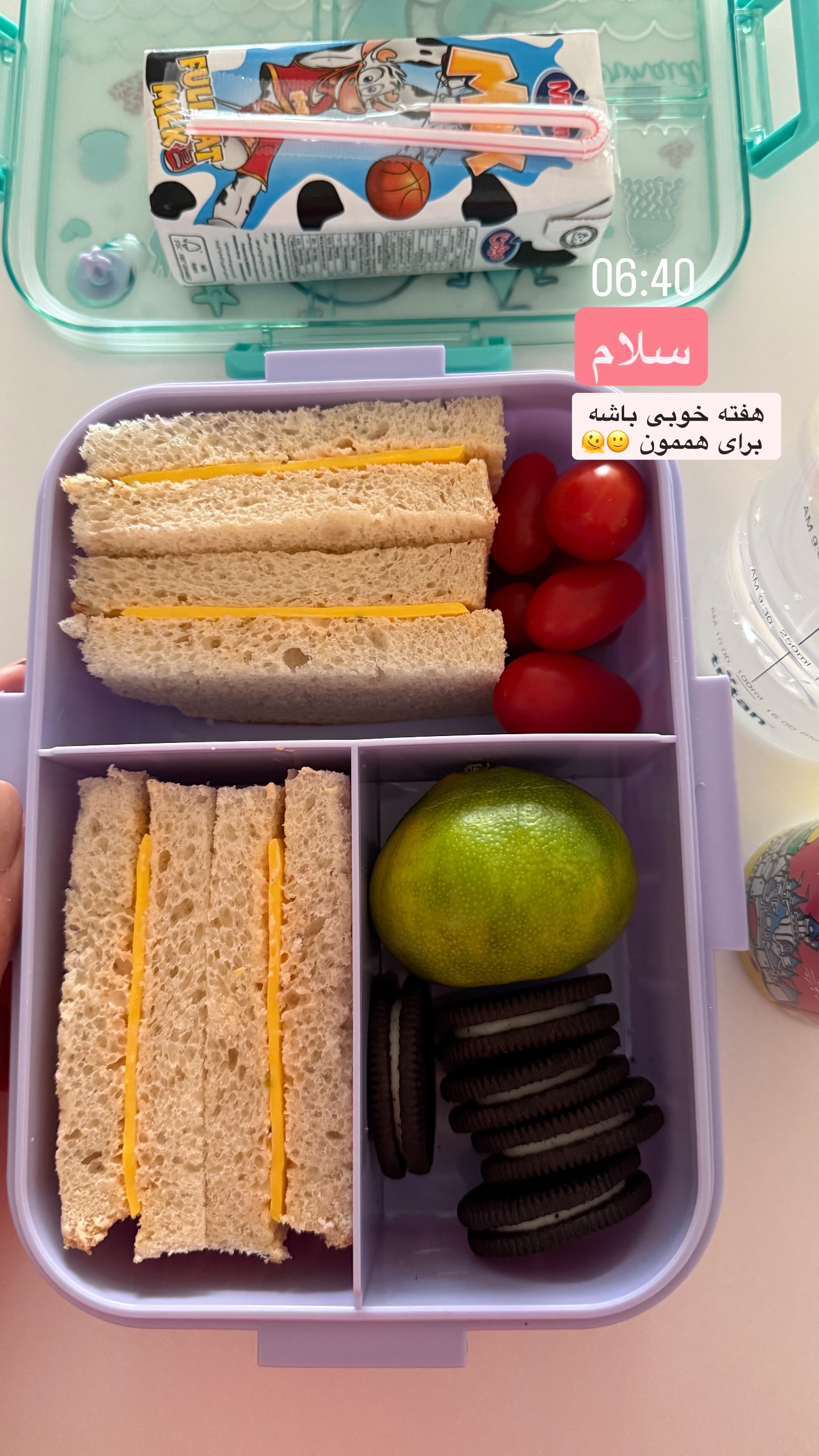  جدید ترین استوری اینستاگرام نفیسه عابدی