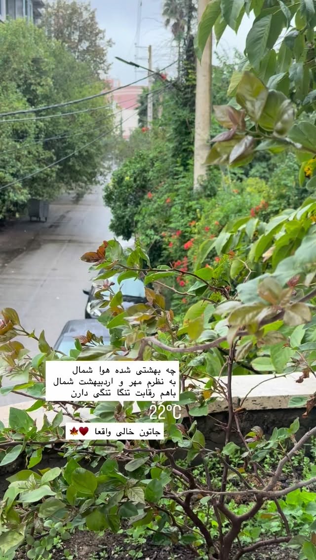  جدید ترین استوری اینستاگرام نفیسه عابدی