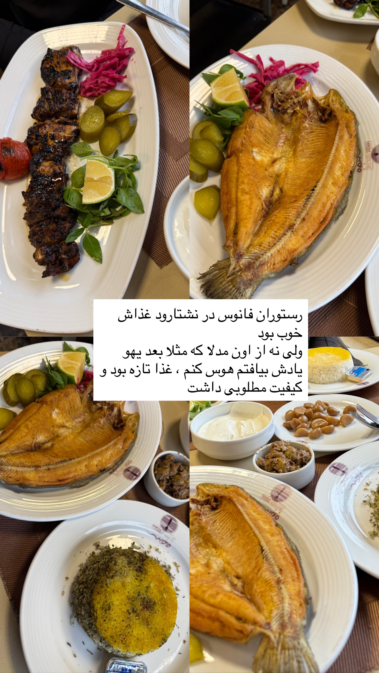  جدید ترین استوری اینستاگرام نفیسه عابدی