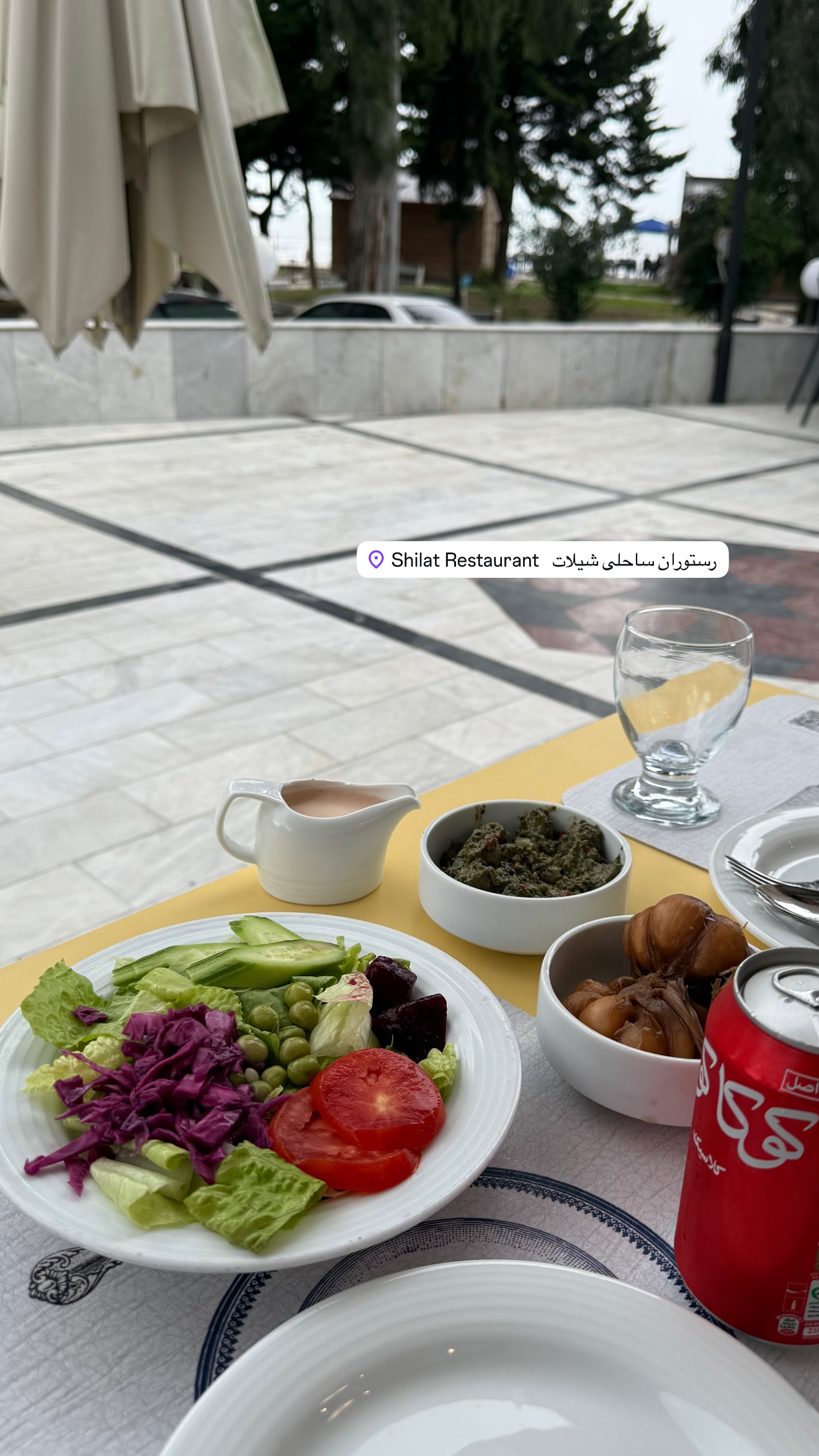  جدید ترین استوری اینستاگرام نفیسه عابدی