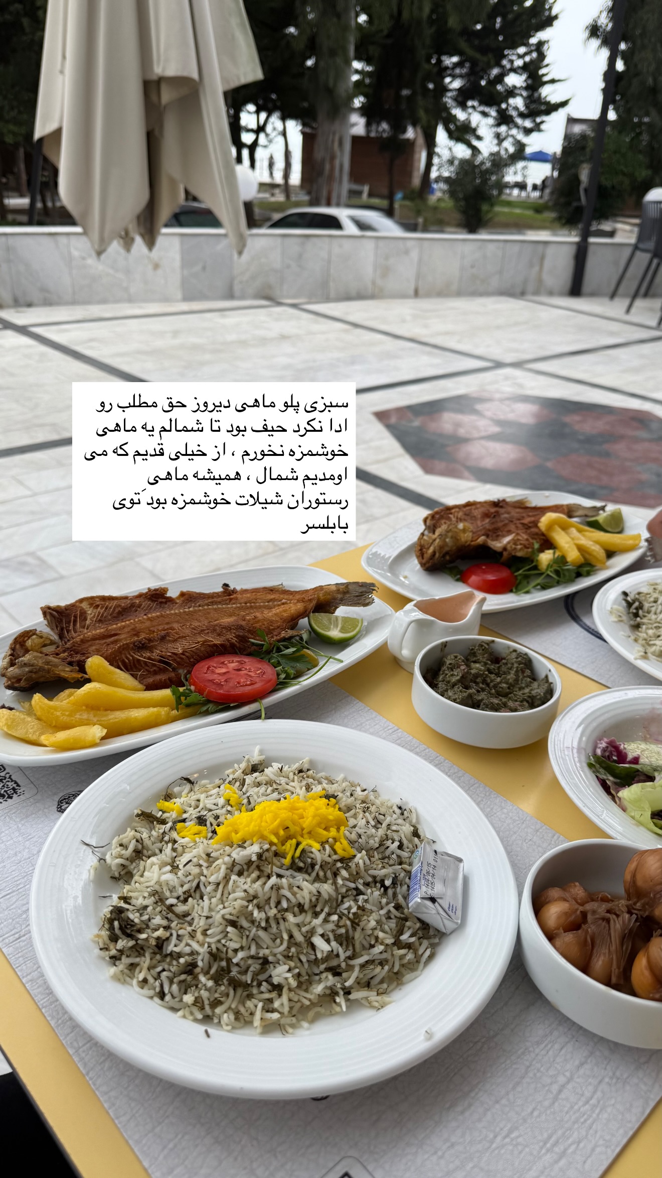  جدید ترین استوری اینستاگرام نفیسه عابدی