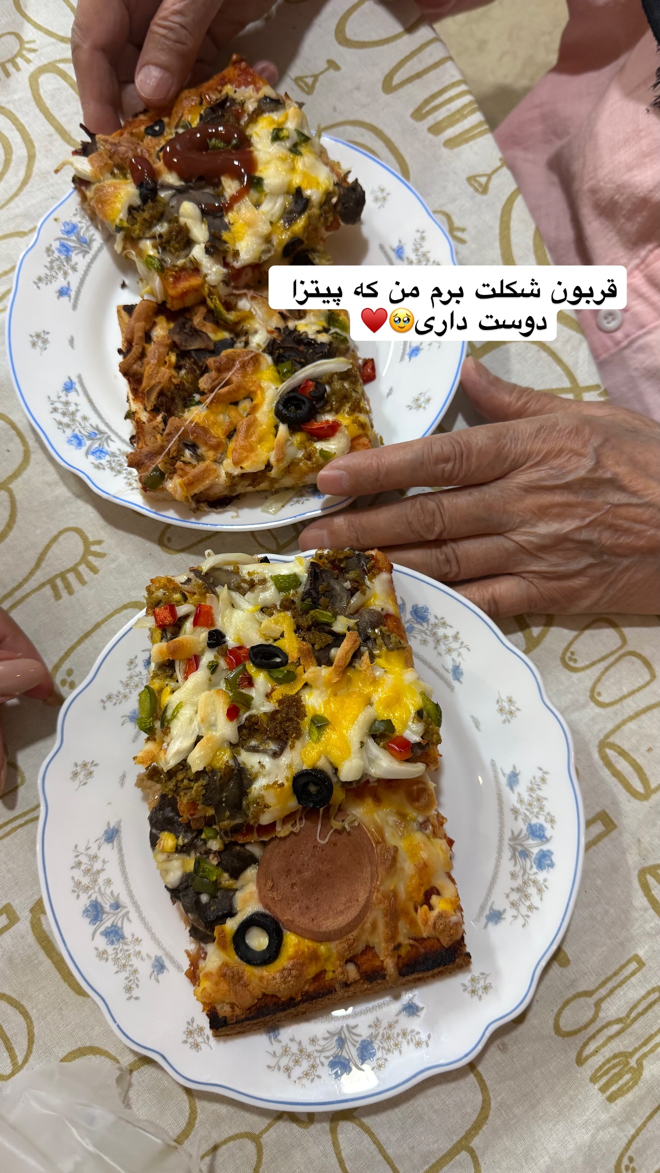  جدید ترین استوری اینستاگرام نفیسه عابدی