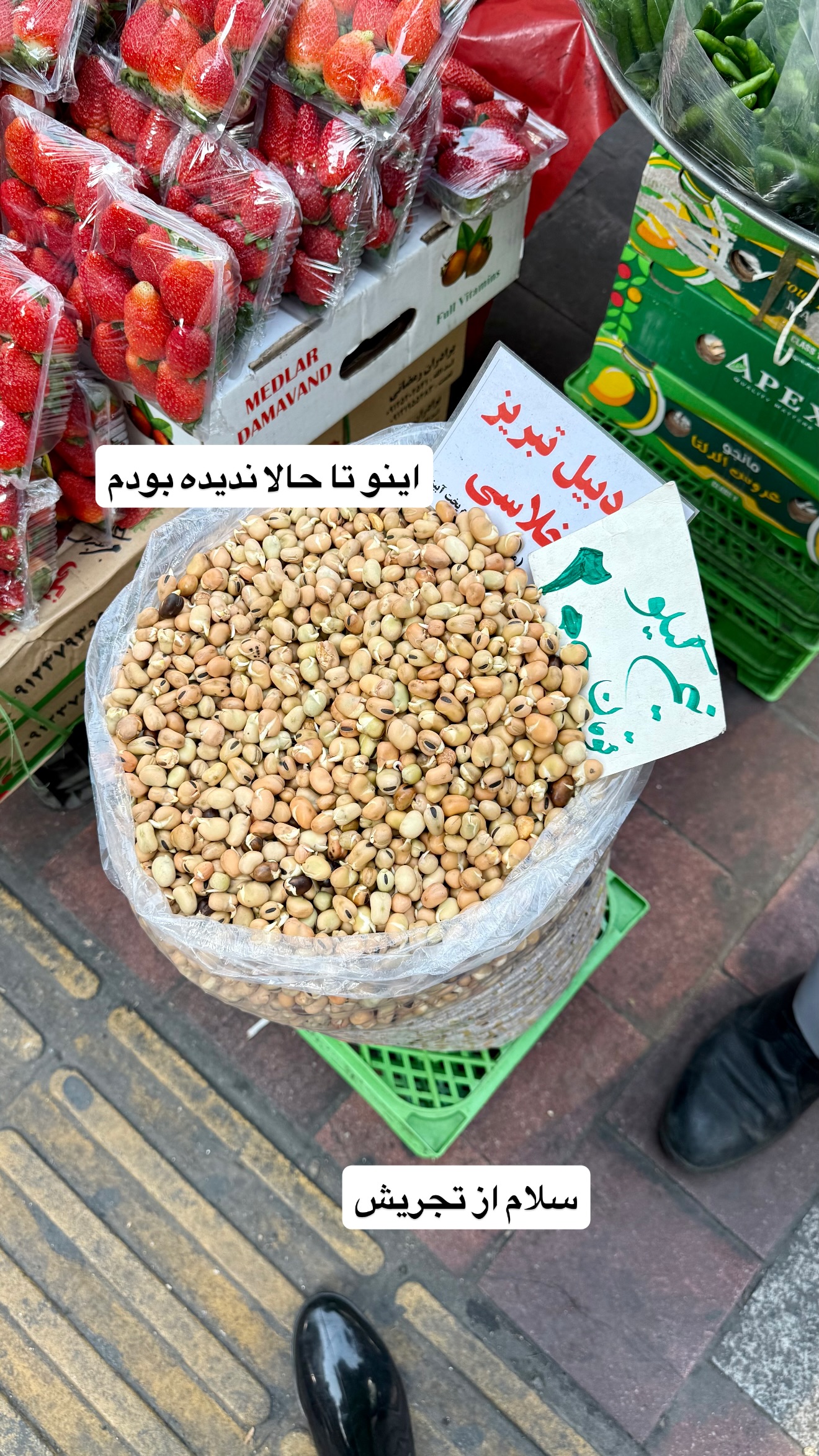  جدید ترین استوری اینستاگرام نفیسه عابدی