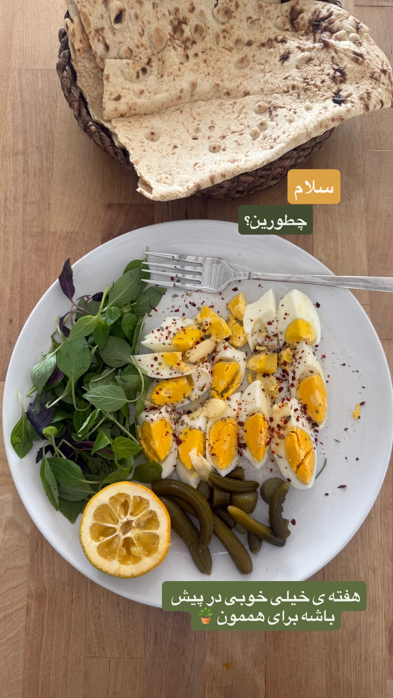  جدید ترین استوری اینستاگرام نفیسه عابدی