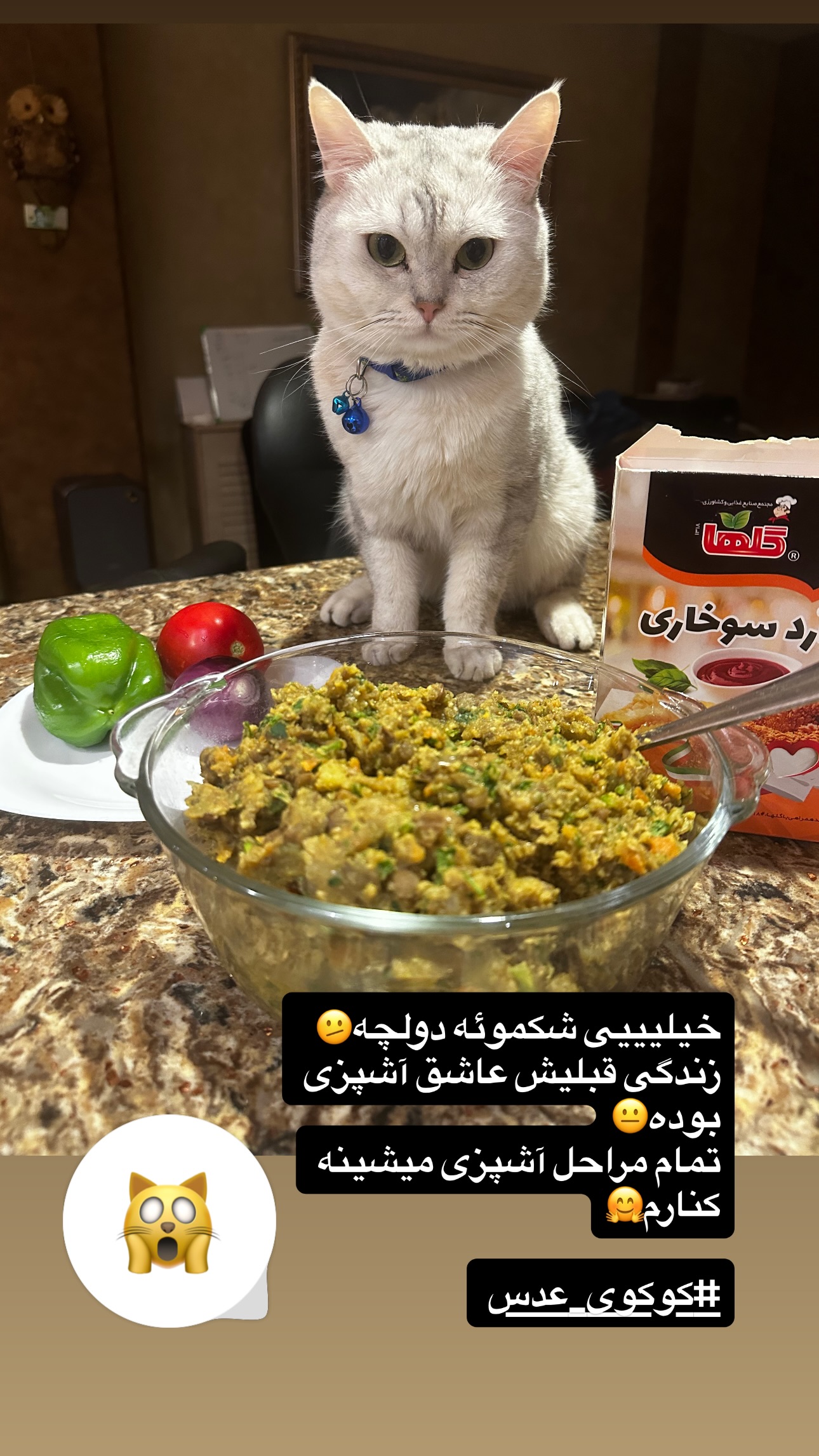  جدید ترین استوری اینستاگرام نفیسه روشن