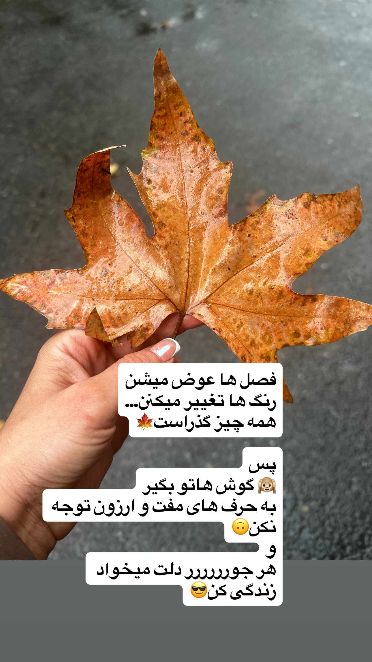  جدید ترین استوری اینستاگرام نفیسه روشن