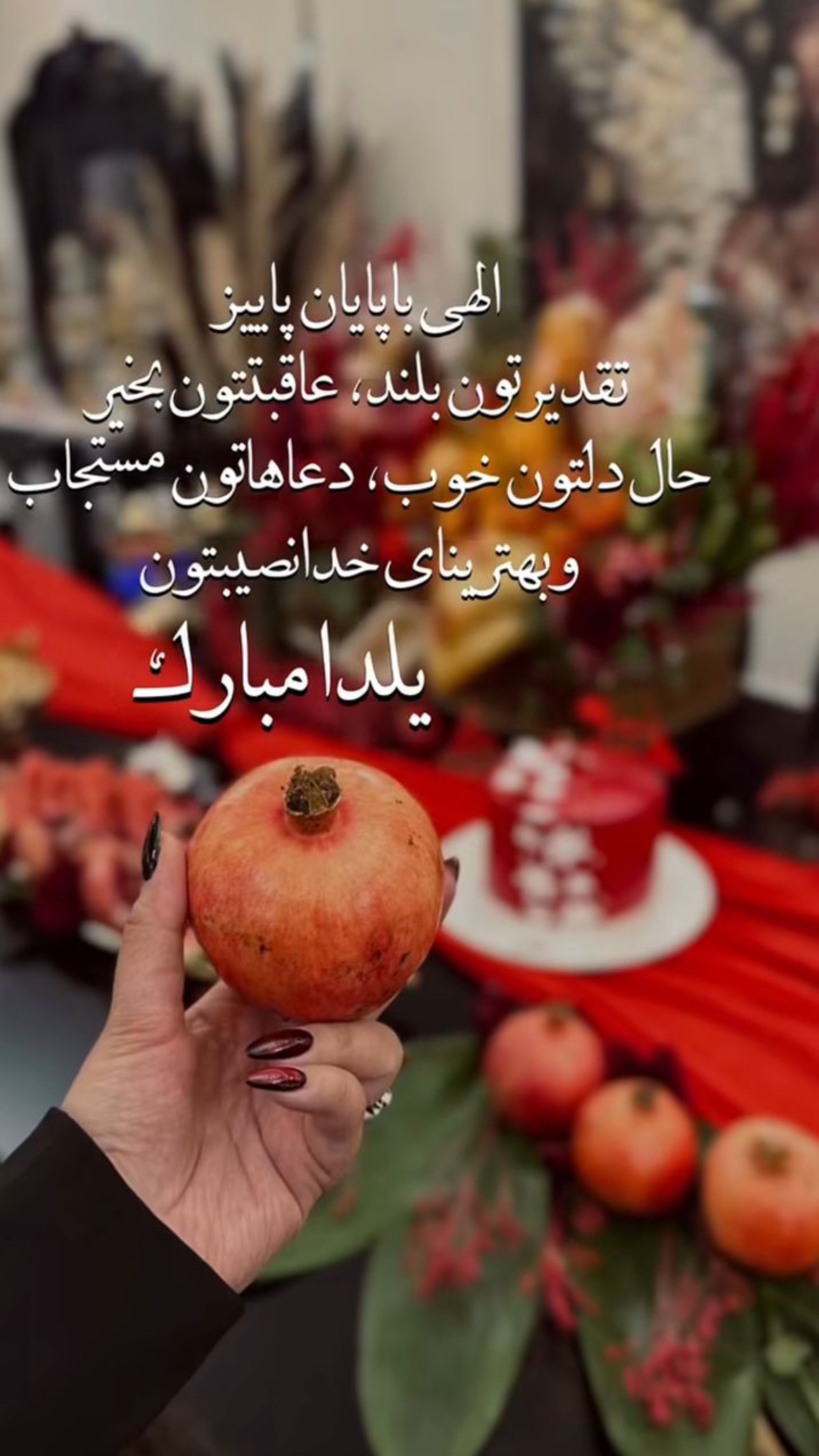  جدید ترین استوری اینستاگرام نفیسه روشن