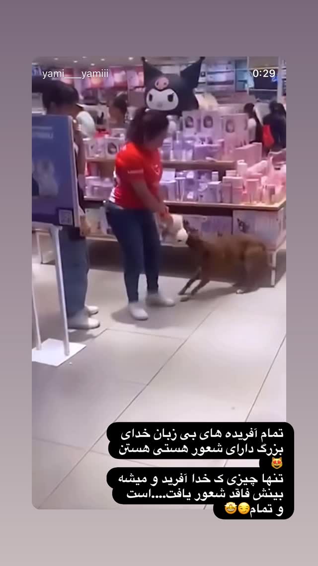  جدید ترین استوری اینستاگرام نفیسه روشن
