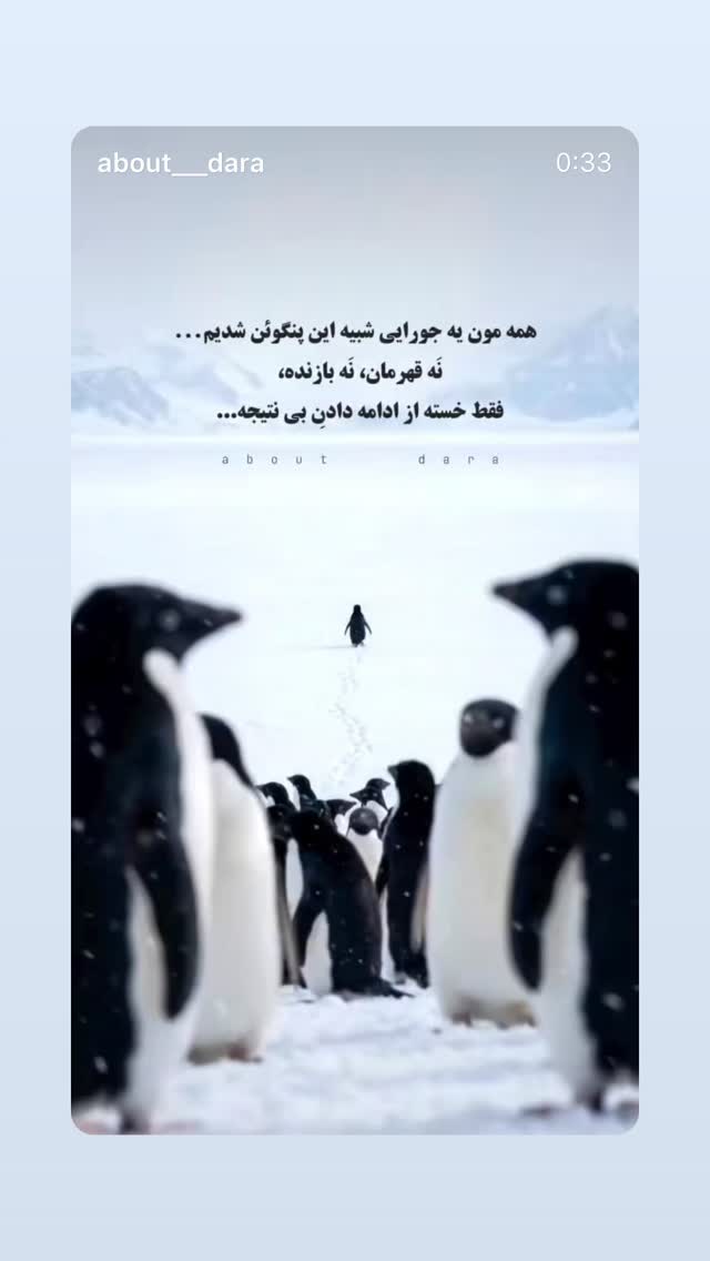  جدید ترین استوری اینستاگرام نفیسه روشن