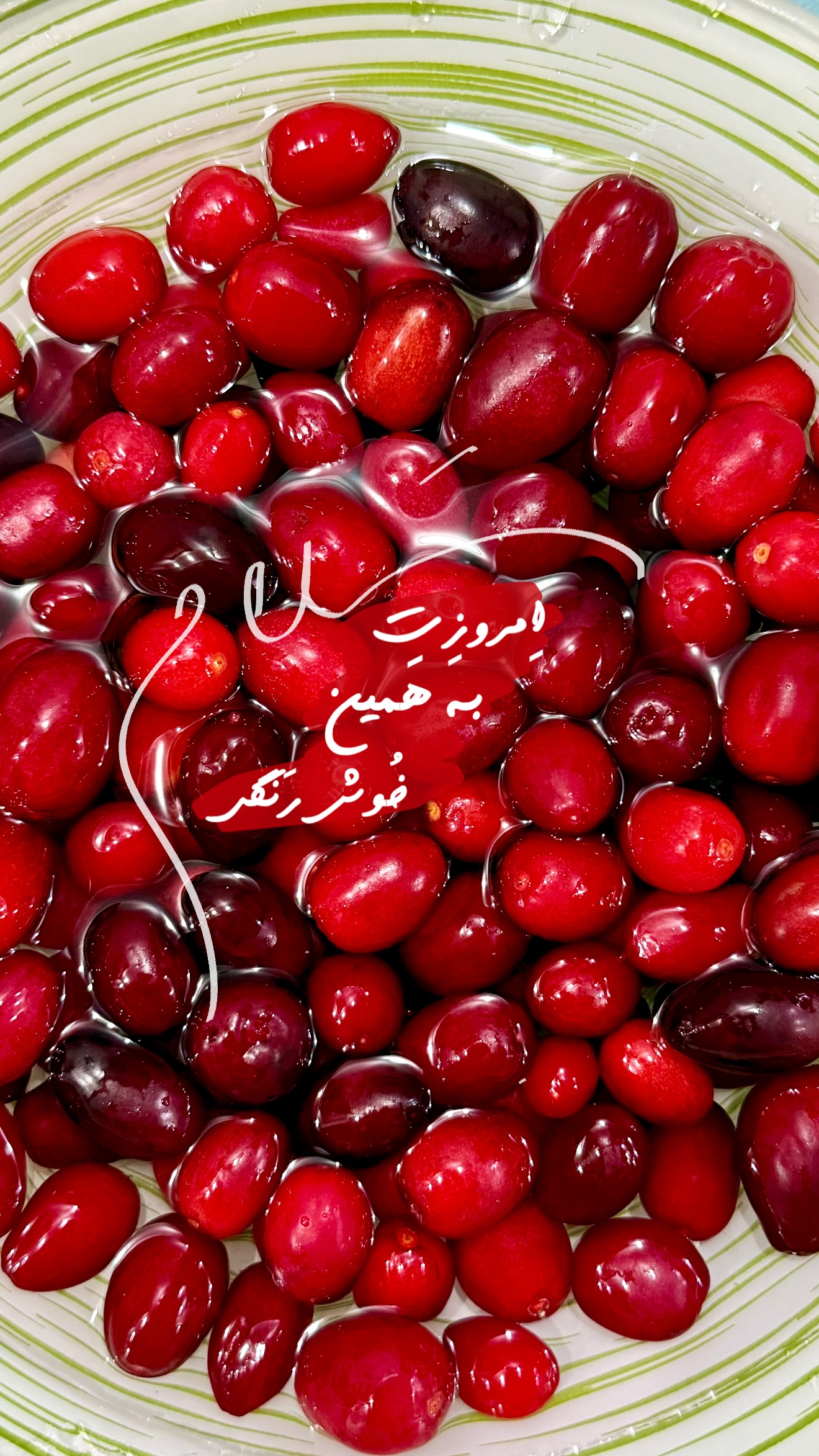  جدید ترین استوری اینستاگرام حانیه بصیری