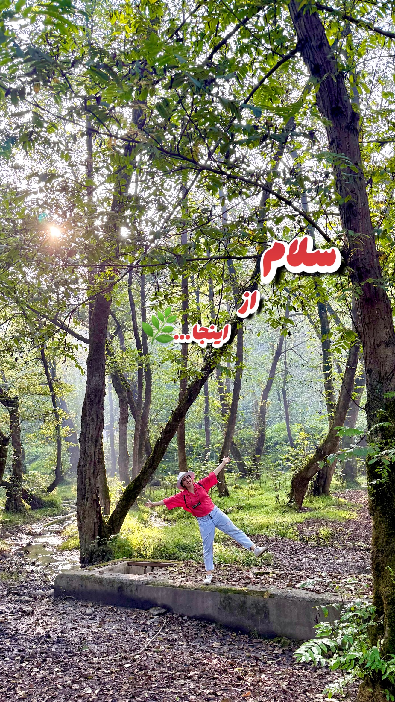  جدید ترین استوری اینستاگرام حانیه بصیری