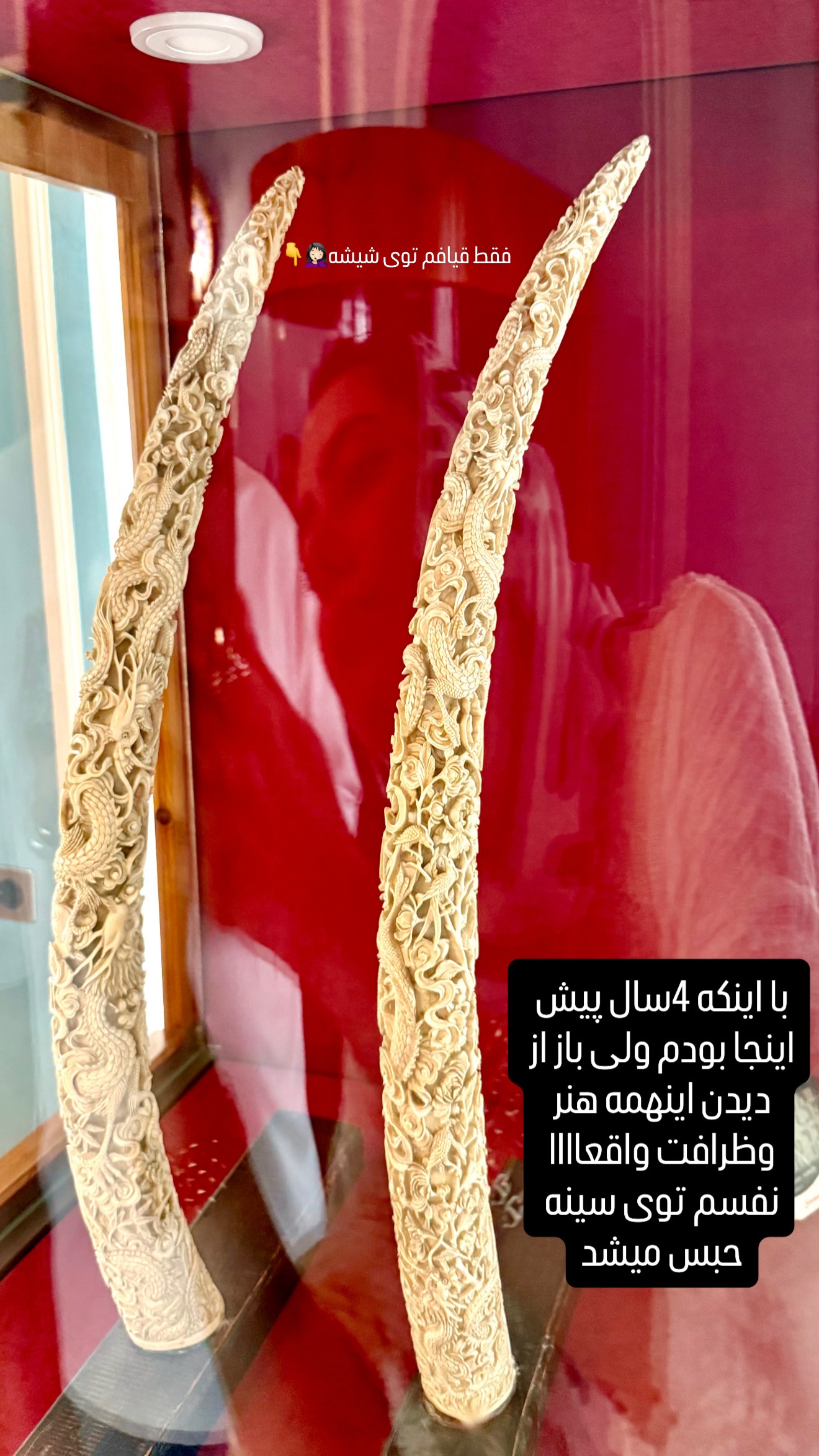  جدید ترین استوری اینستاگرام حانیه بصیری